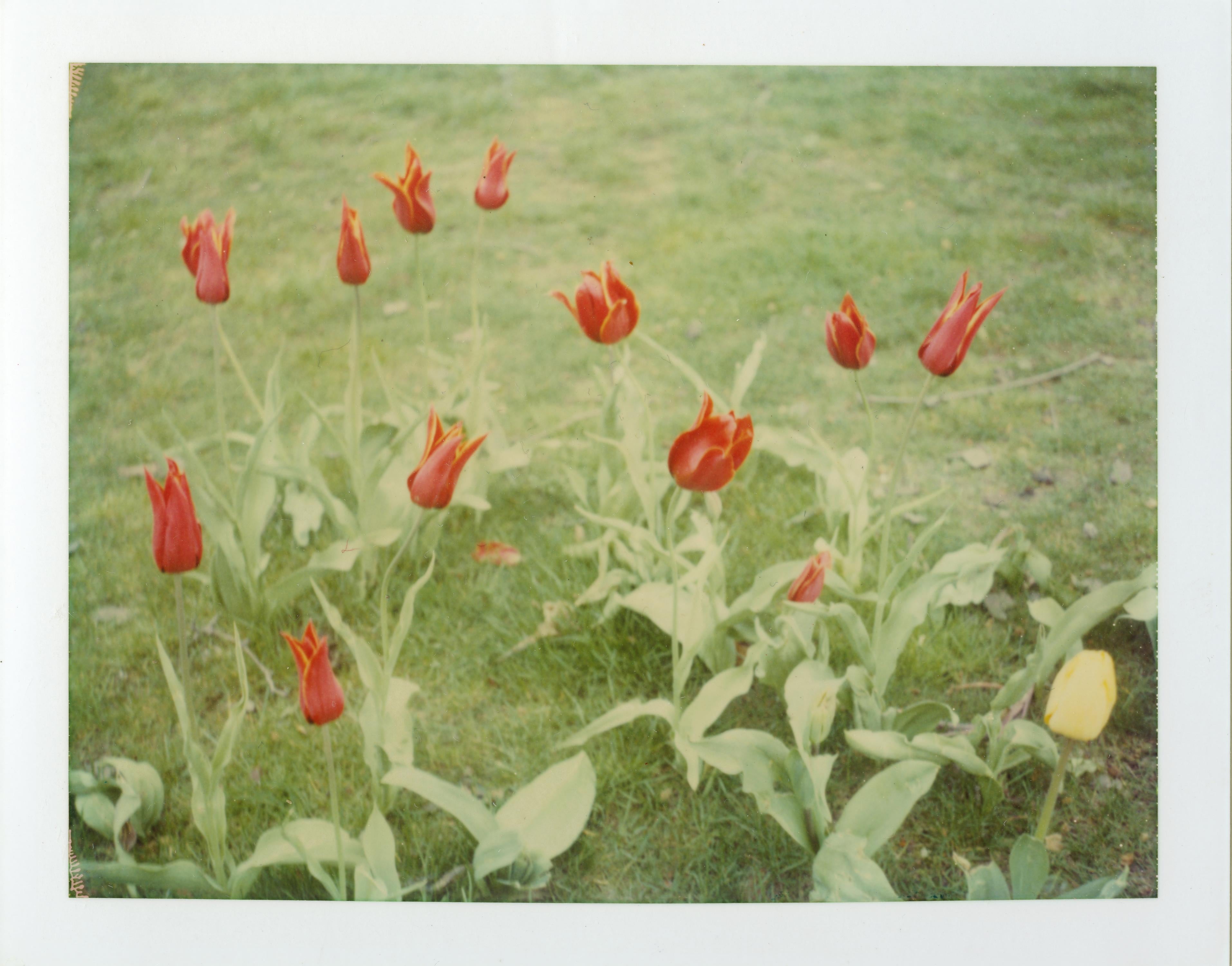 Springtime (Paris) - 4 pieces - analog, Polaroid, Contemporary For Sale 1