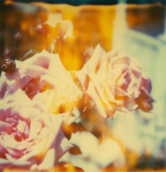 Springtime (Suburbia) - Contemporary, Polaroid, Analog, Photography