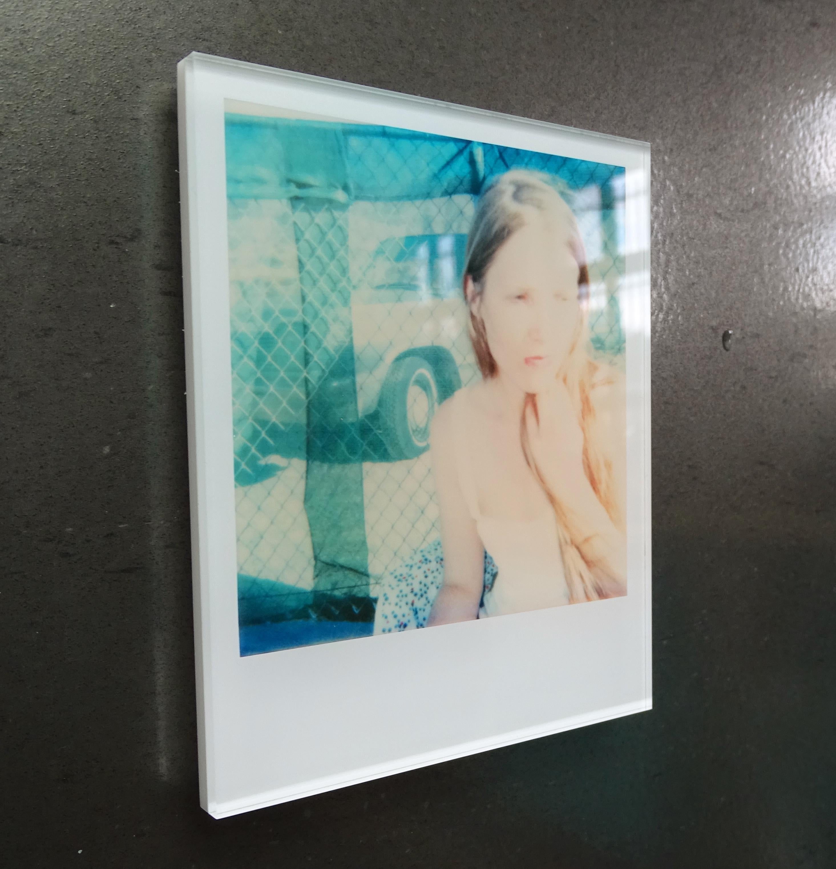 Stefanie Schneider Minis - 29 Day Dreams (29 Palms, CA) For Sale 1