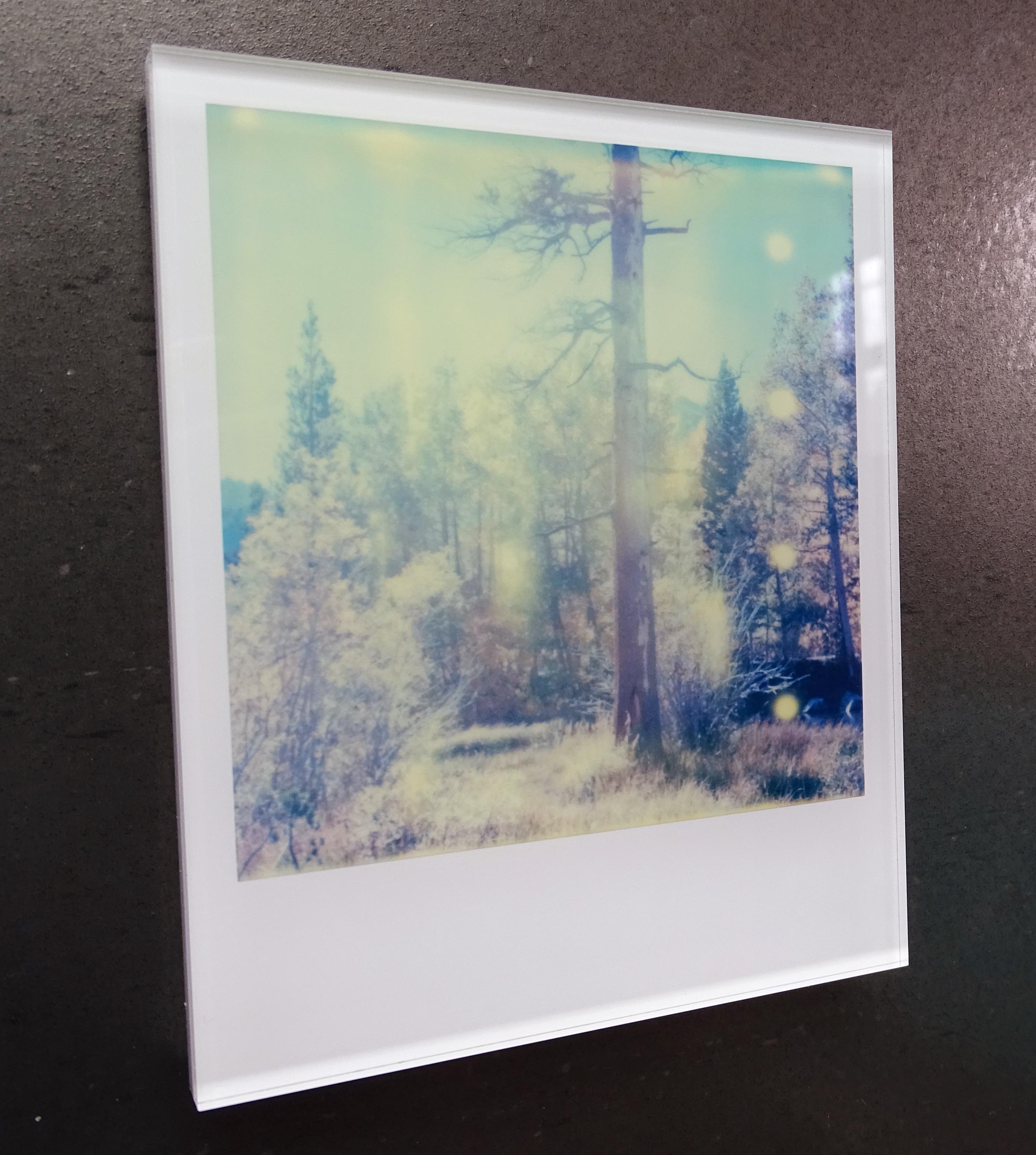 Stefanie Schneider's Minis
In the Range of Light (Wastelands), 2003

Signed and signature brand on verso.
Lambda digital Color Photographs based on a Polaroid.
Sandwiched in between Plexiglass (thickness 0.7cm)

Polaroid sized open Editions