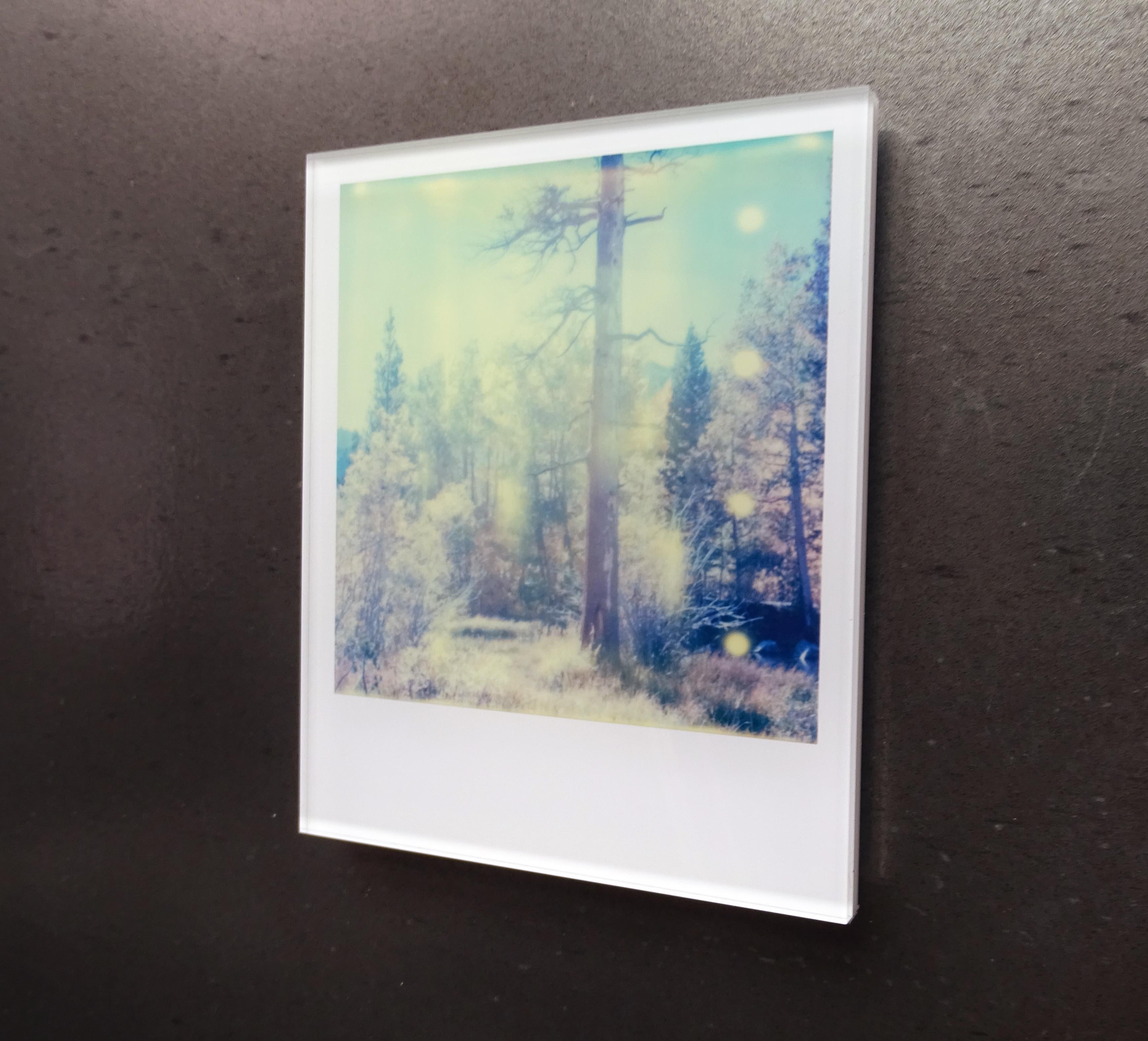 Stefanie Schneider Minis - In the Range of Light - based on a Polaroid For Sale 1