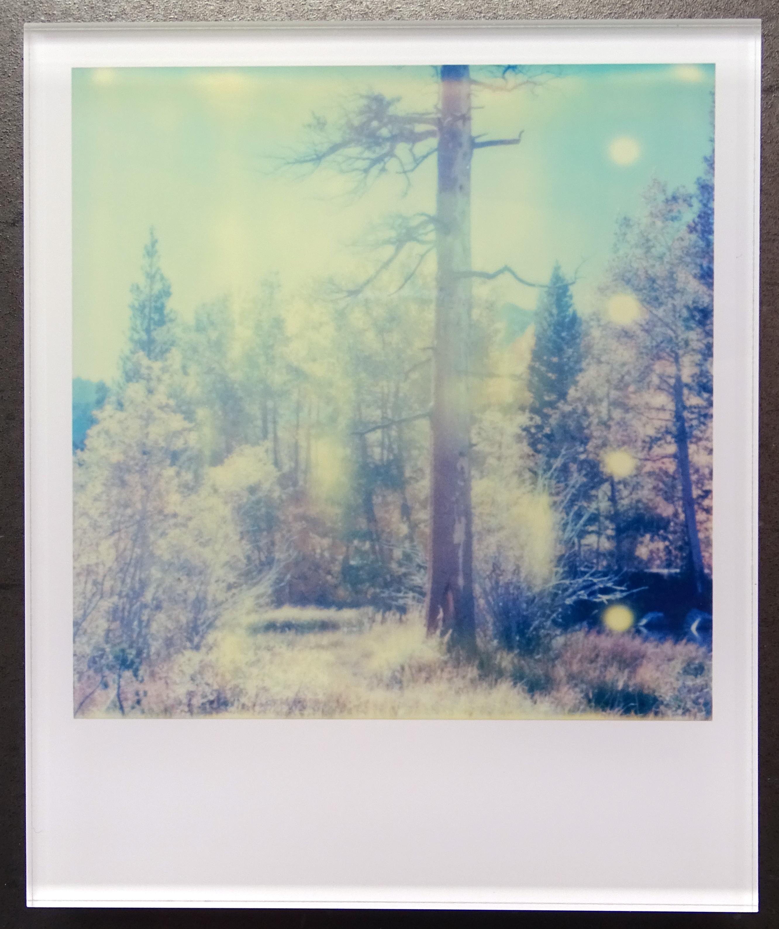 Stefanie Schneider's Minis
In the Range of Light (Wastelands), 2003

Signed and signature brand on verso.
Lambda digital Color Photographs based on the Polaroid.
Sandwiched in between Plexiglass (thickness 0.7cm)

Polaroid sized open Editions