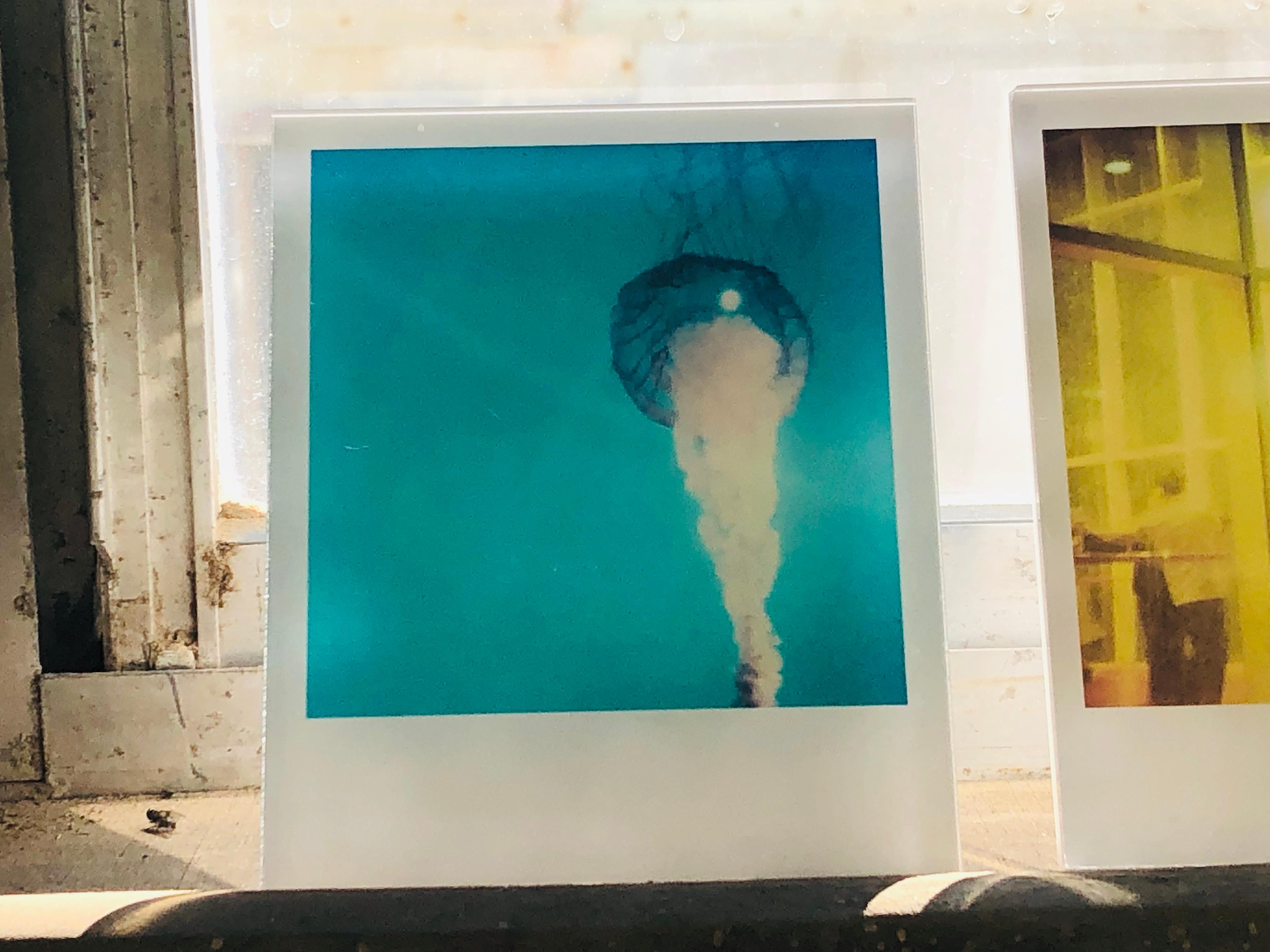 Stefanie Schneider's Minis

'Jelly Fish" (Stay), 2006
signed and signature brand on verso
Lambda digital Color Photographs based on a Polaroid

from the movie 'Stay' by Marc Forster, featuring Ewan McGregor and Naomi Watts.

Polaroid sized open