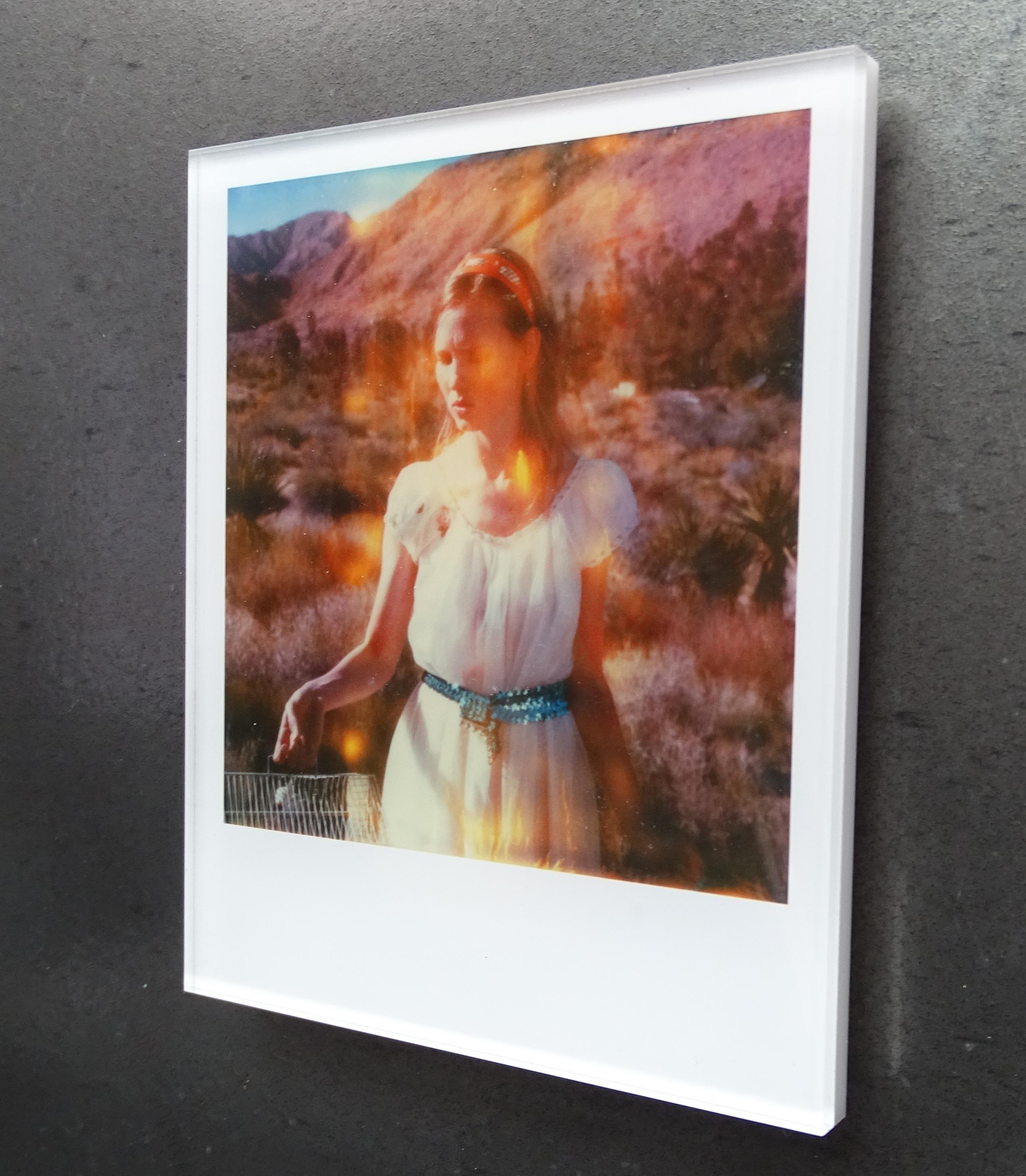 Stefanie Schneider Minis - Lost (Haley and the Birds) in vendita 1