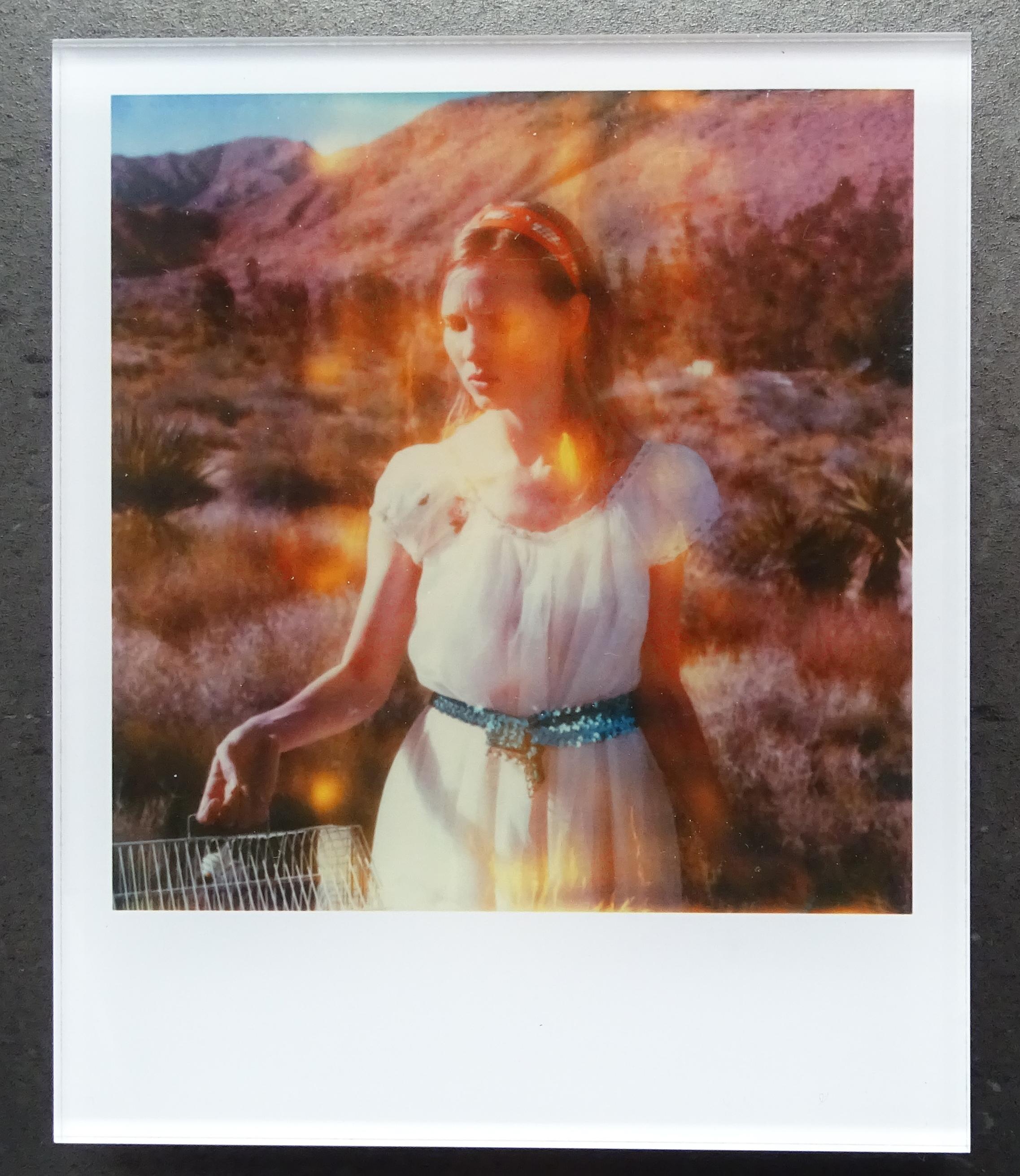 I Mini di Stefanie Schneider
Lost (Haley e gli uccelli) - 2013

firmato e con marchio della firma sul verso
Fotografie digitali a colori Lambda basate sulla Polaroid

Edizioni aperte in formato polaroid 1999-2016
10,7 x 8,8 cm (immagine 7,9x7,7