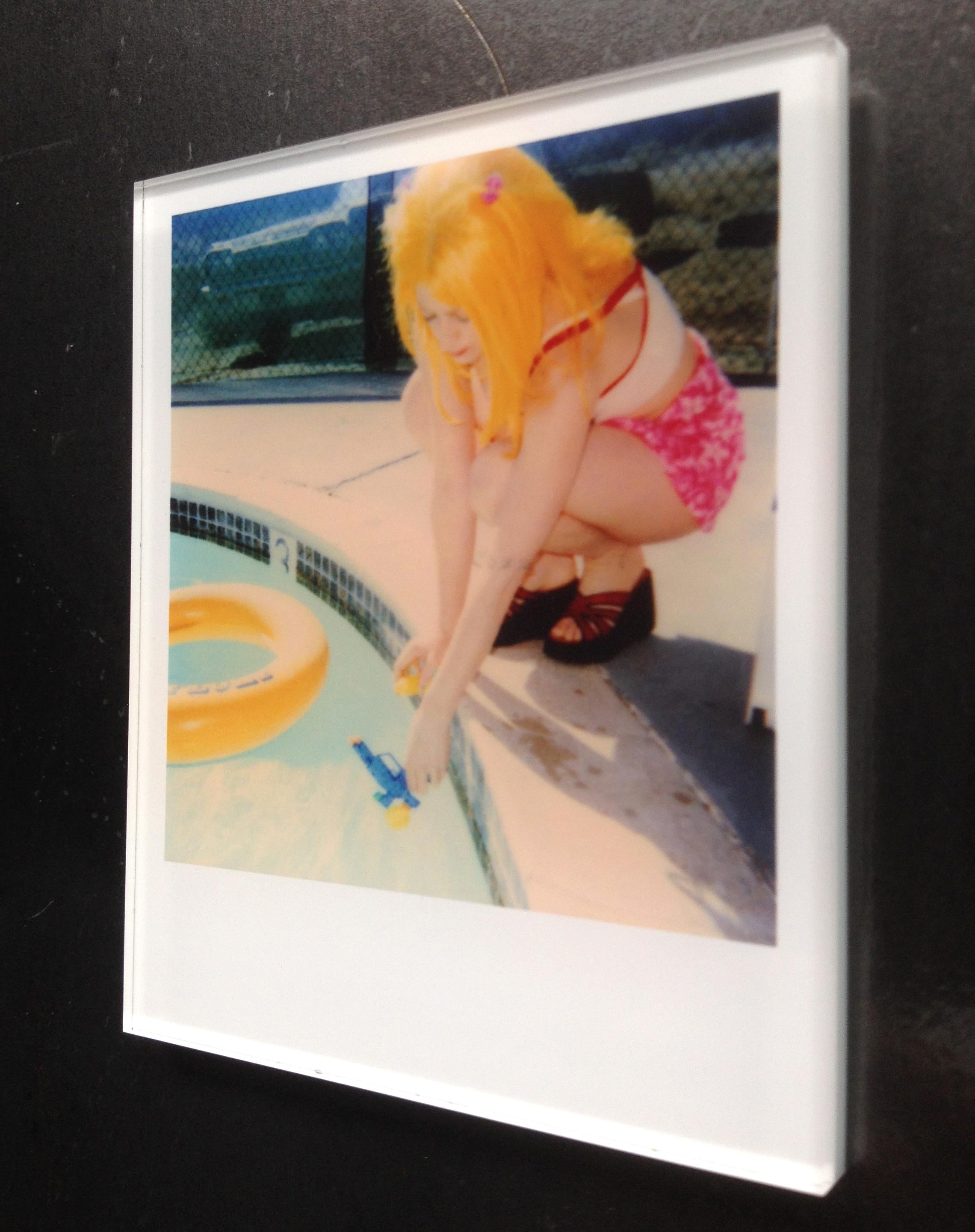 Stefanie Schneider Minis - Max by the Pool (29 Palms, CA) 1
