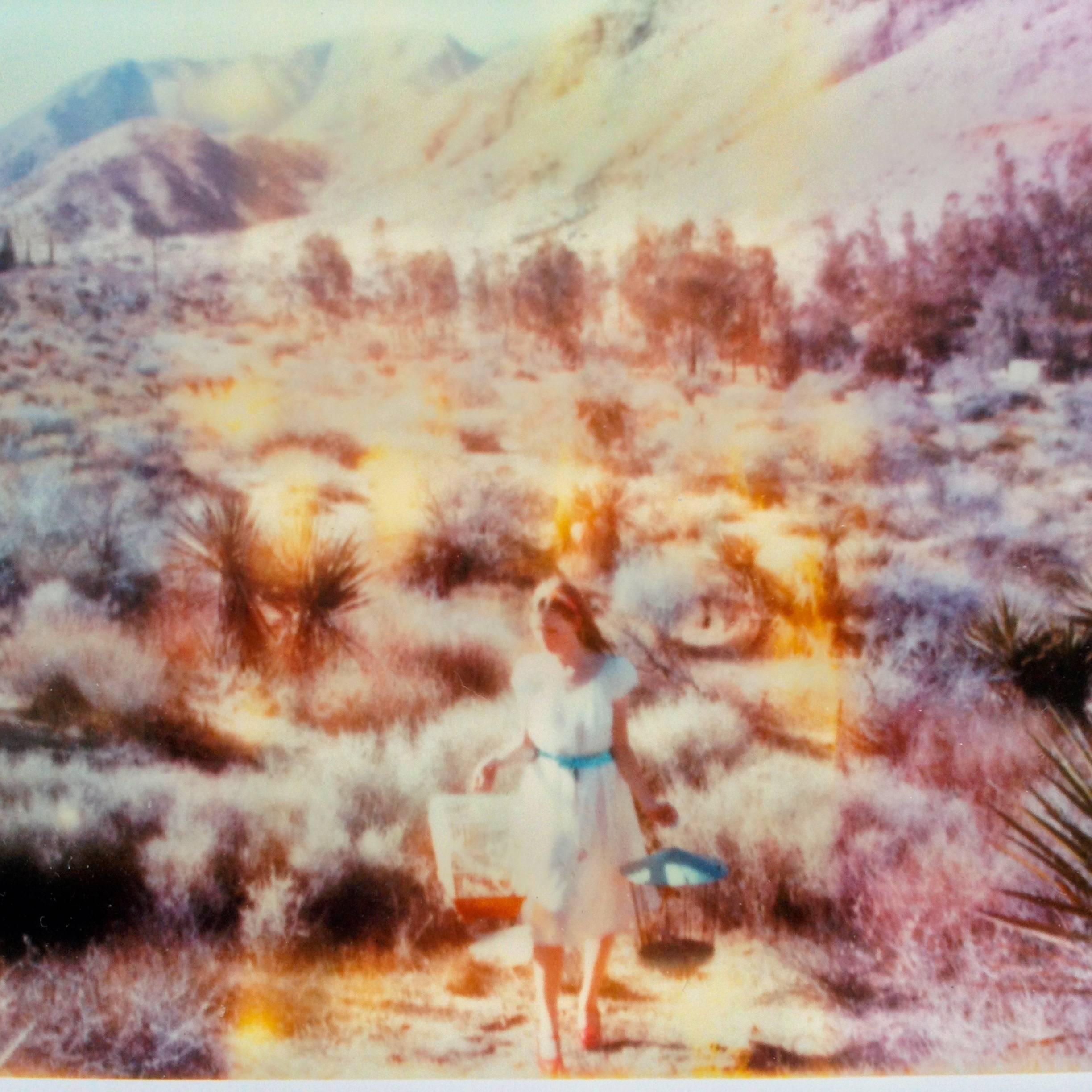 Stefanie Schneider Minis - Runaway (Haley and the Birds) in vendita 2