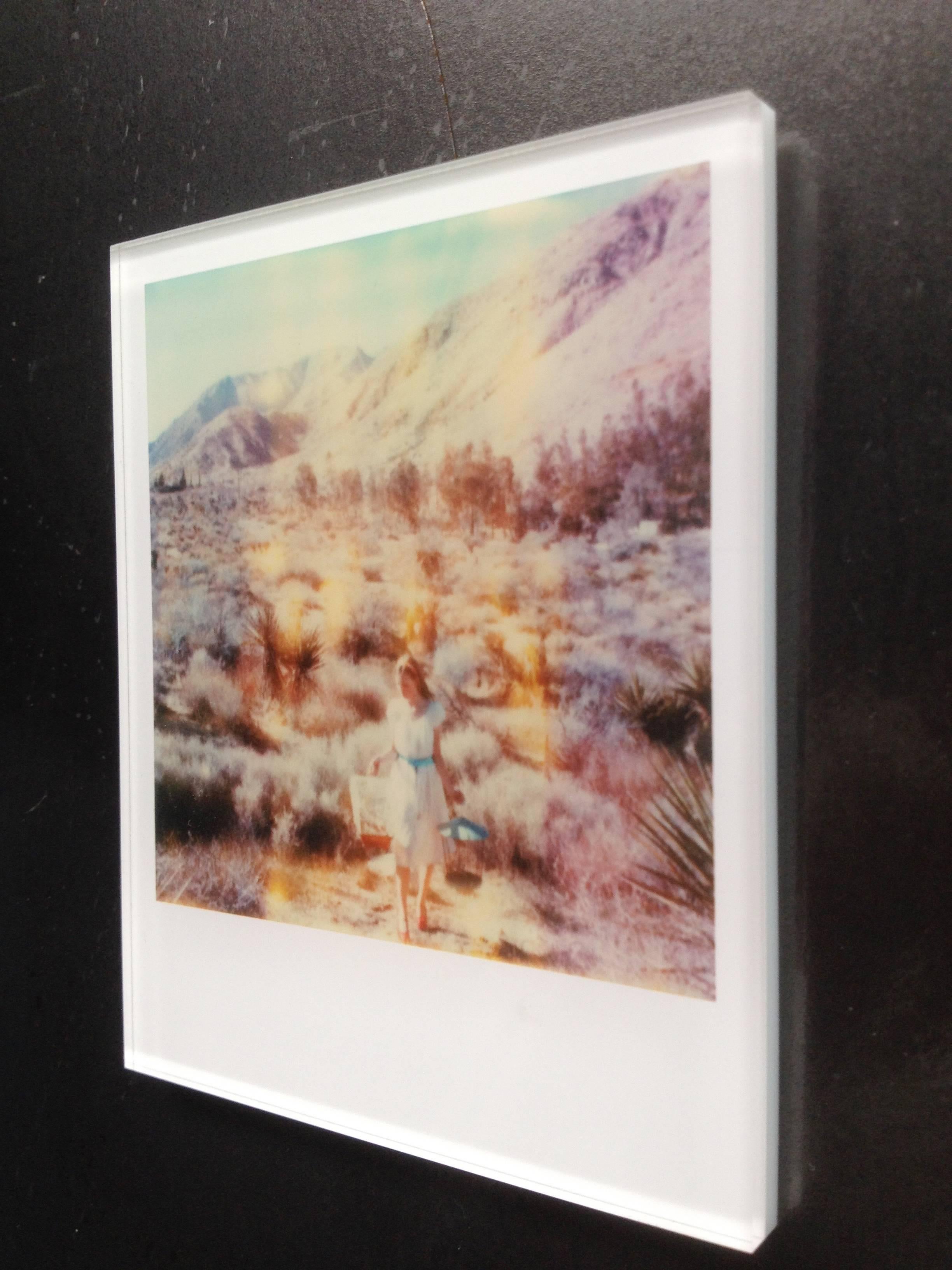 Stefanie Schneider's Minis
'Runaway' (Haley and the Birds) 2013
signed and signature brand on verso
Lambda digital Color Photographs based on a Polaroid

Polaroid sized open Editions 1999-2013
10.7 x 8.8cm (Image 7.9x7.7cm)
mounted: sandwiched in