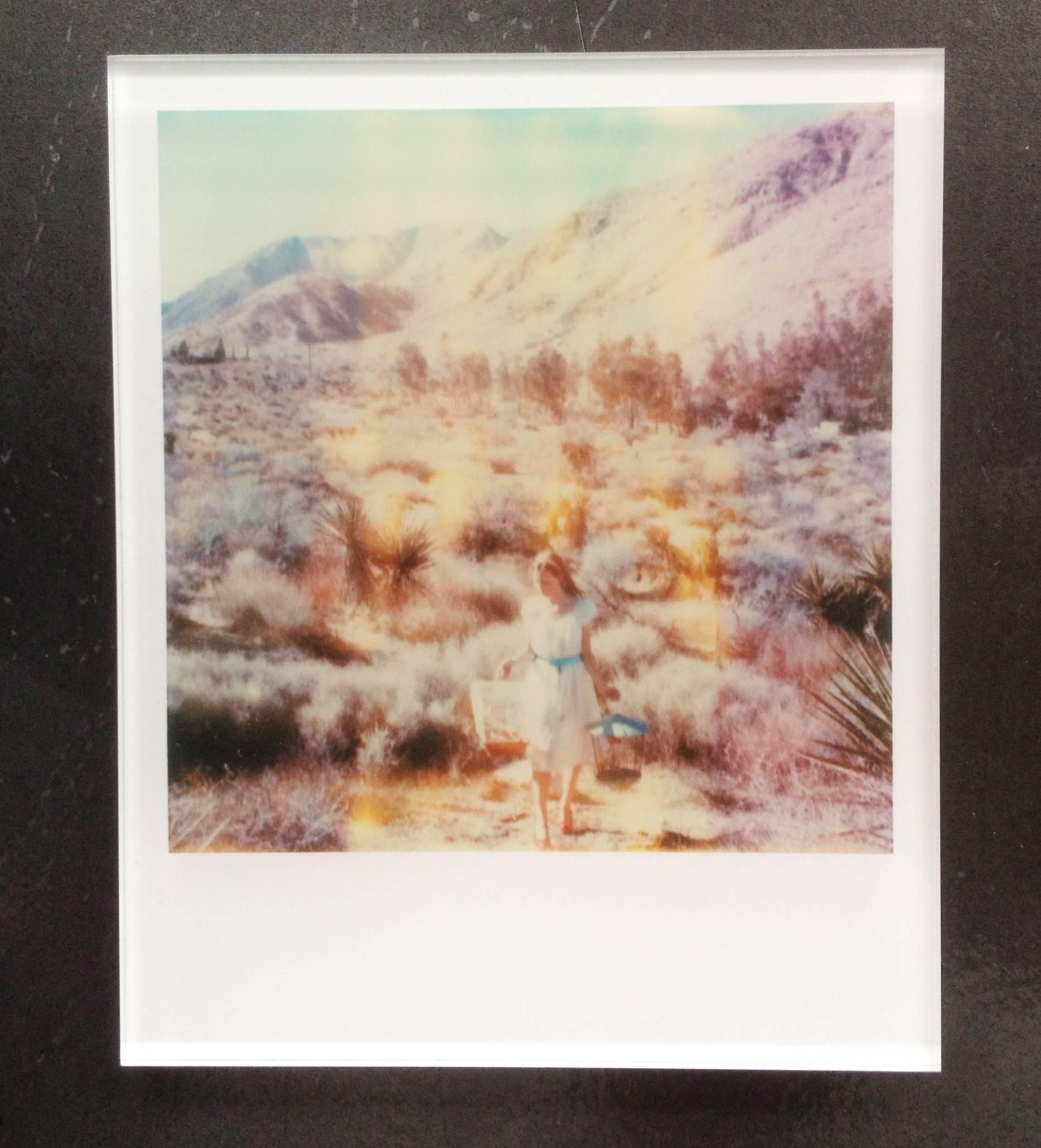 Stefanie Schneider's Minis
'Runaway' (Haley and the Birds) 2013
signed and signature brand on verso
Lambda digital Color Photographs based on a Polaroid

Polaroid sized open Editions 1999-2013
10.7 x 8.8cm (Image 7.9x7.7cm)
mounted: sandwiched in