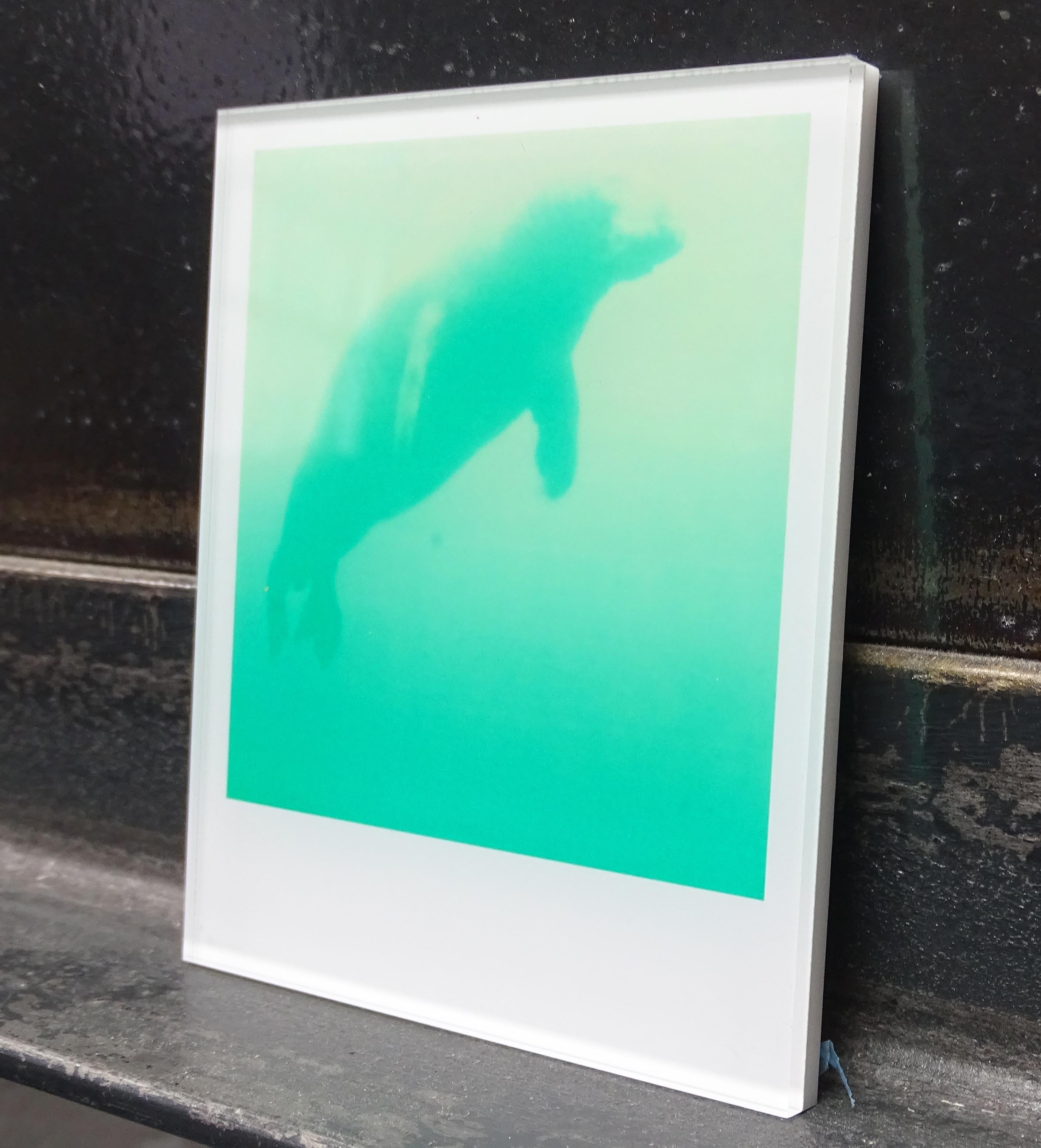 Stefanie Schneider Minis - Skywhale (Aufenthalt) - Polaroid, Contemporary, Farbe im Angebot 1