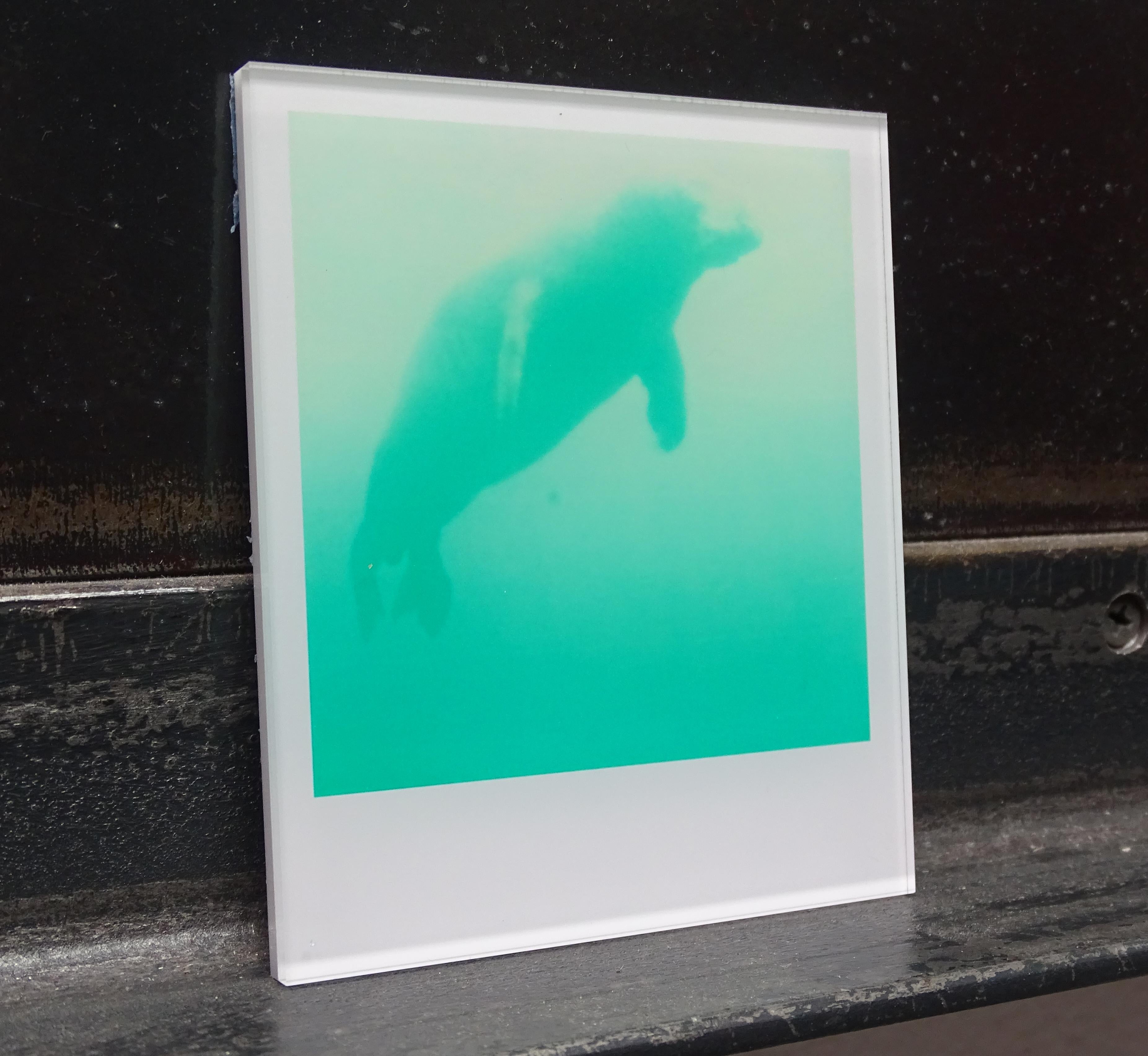 Stefanie Schneider Minis - Skywhale (Aufenthalt) - Polaroid, Contemporary, Farbe im Angebot 2