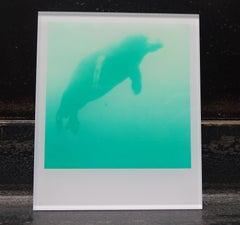 Stefanie Schneider Minis - Skywhale (Aufenthalt) - Polaroid, Contemporary, Farbe