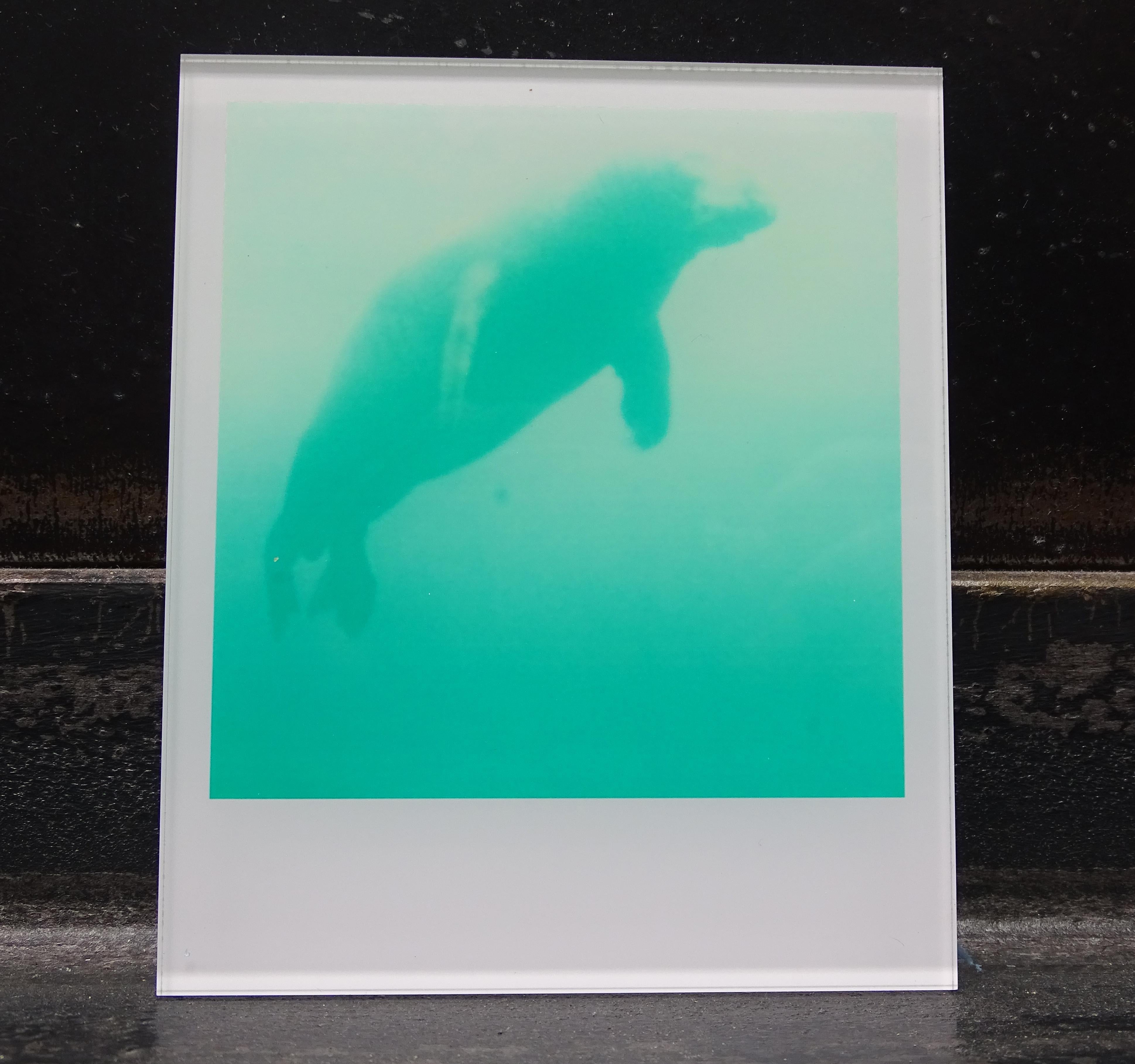 Stefanie Schneider Minis - Skywhale (Stay) - Polaroid, zeitgenössisch, Farbe