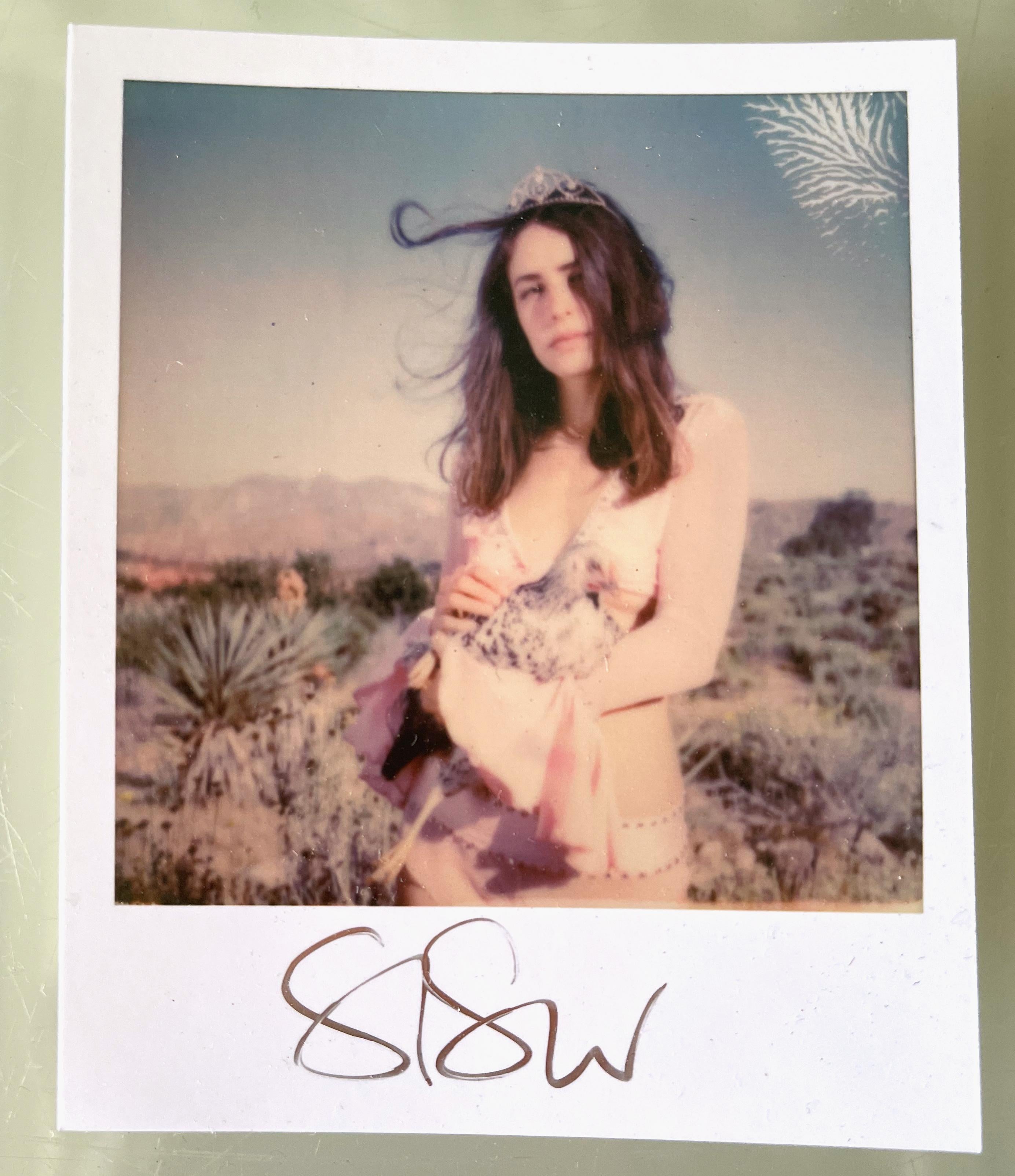 Stefanie Schneider Polaroid sized Minis - 'Lady Bird' - signed, loose For Sale 1
