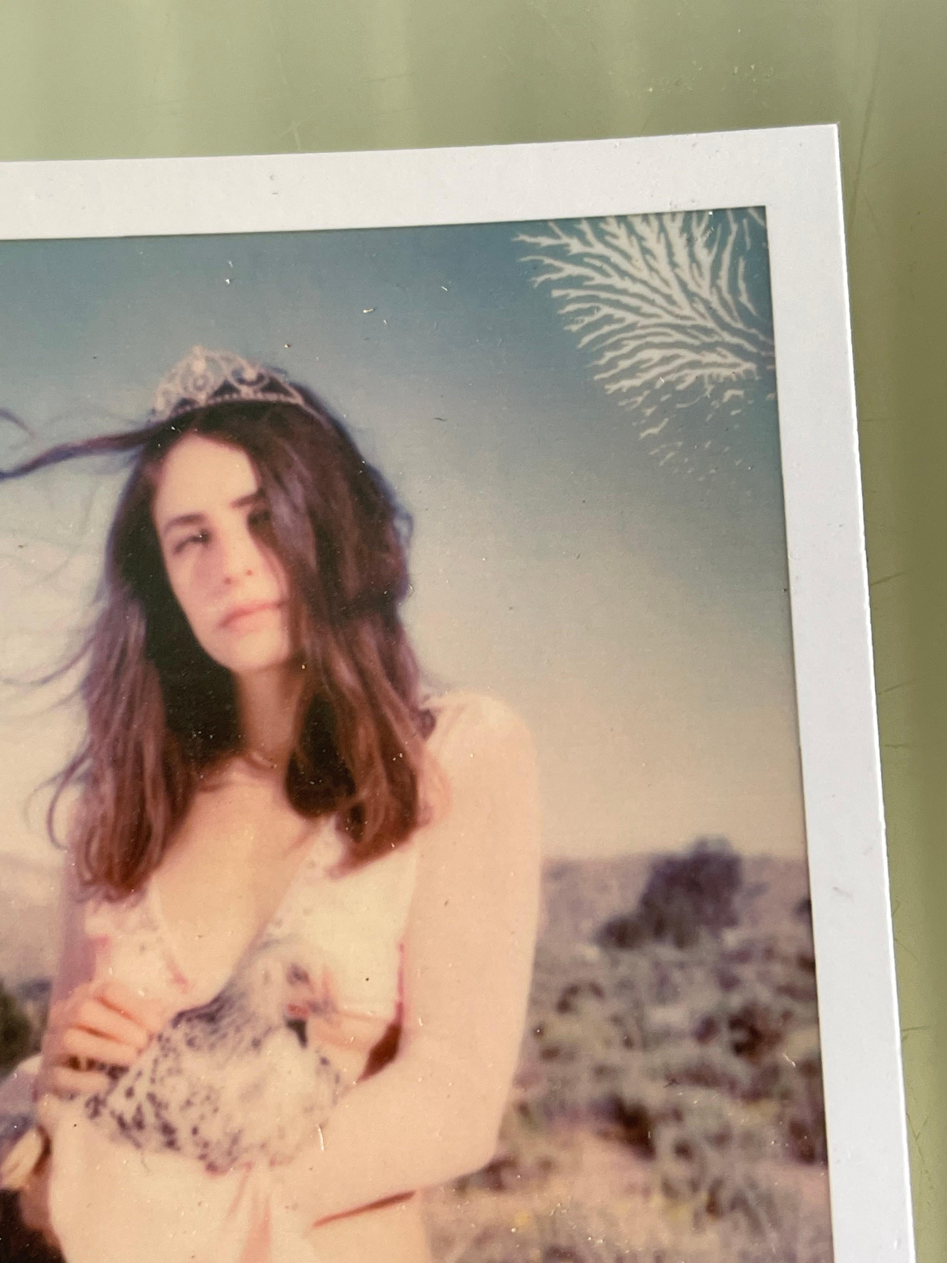 Stefanie Schneider Minis tamaño Polaroid - 'Lady Bird' - firmado, suelto en venta 2
