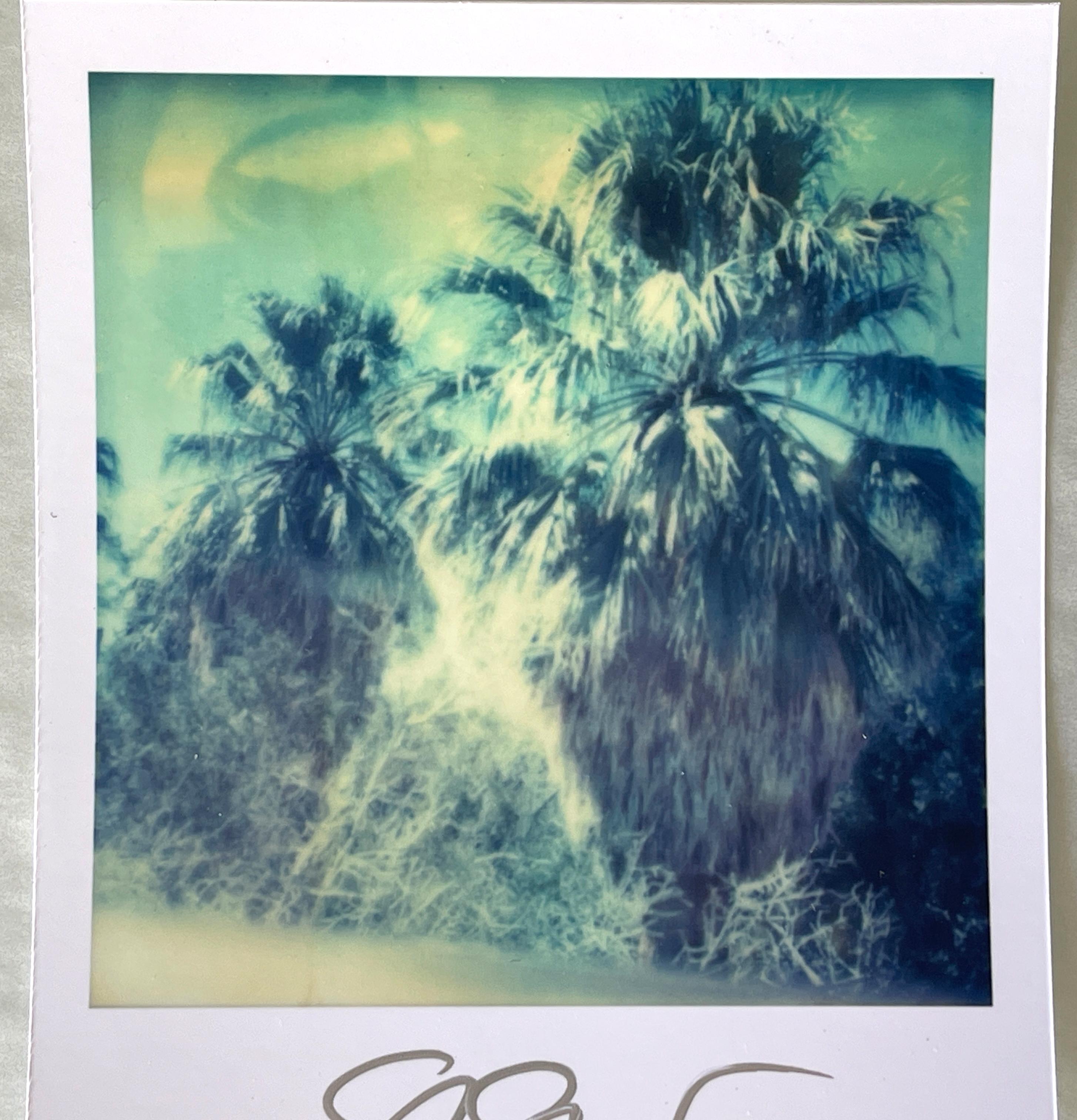 Stefanie Schneider Polaroid illimitata Mini ''Blue Sky Palm Trees'' - firmata in vendita 1
