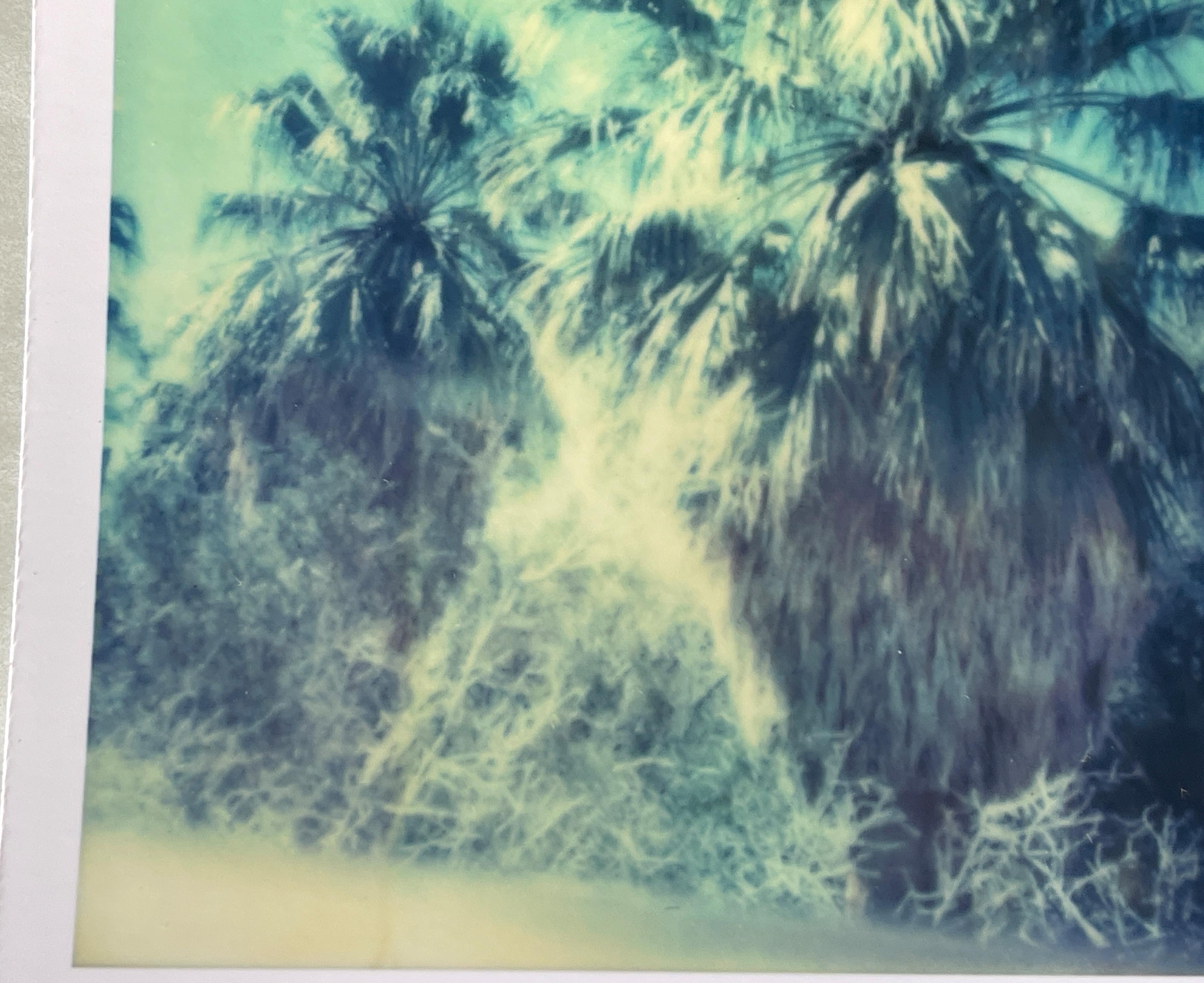 Stefanie Schneider Polaroid illimitata Mini ''Blue Sky Palm Trees'' - firmata in vendita 2