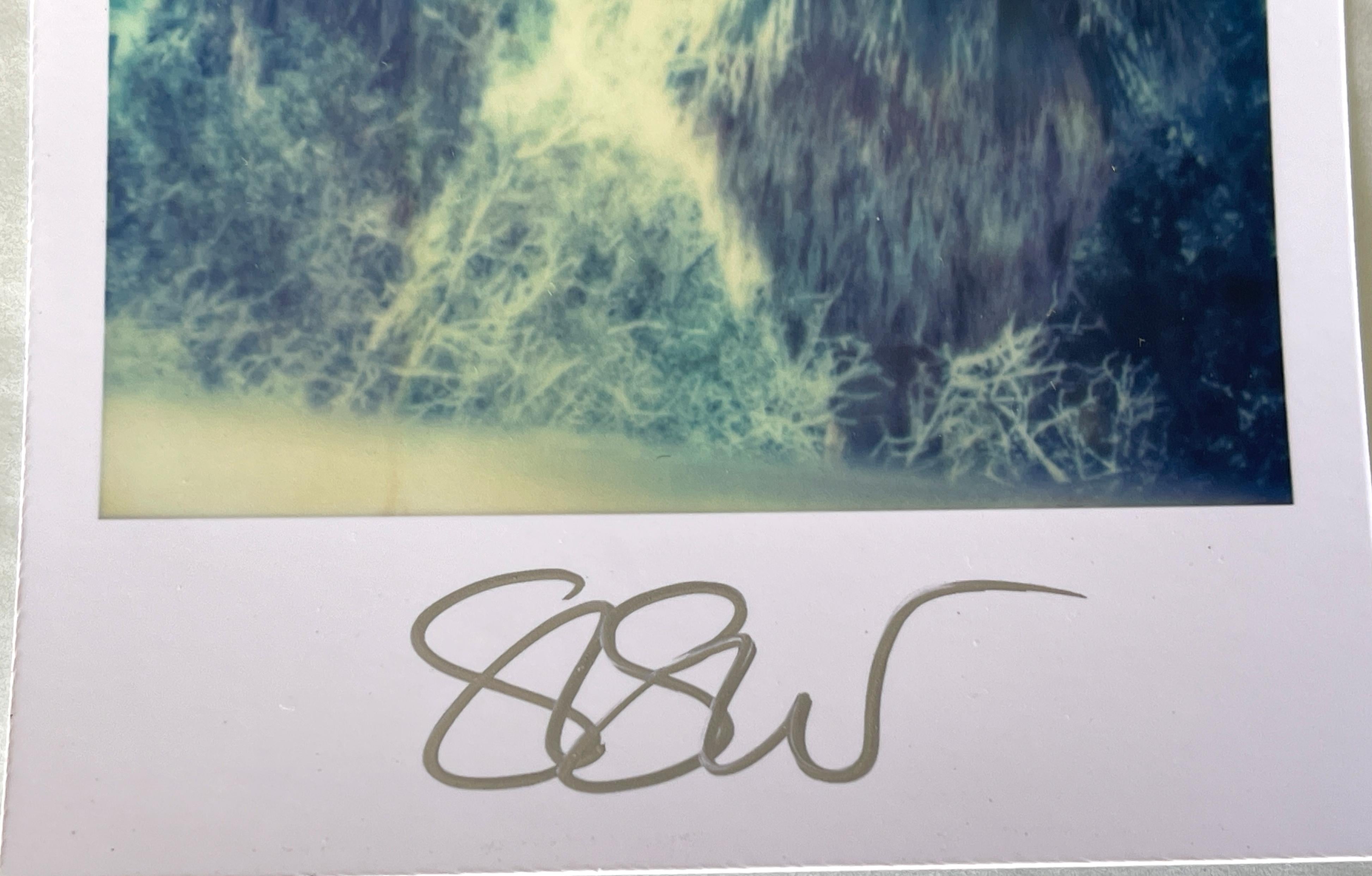 Stefanie Schneider Polaroid illimitata Mini ''Blue Sky Palm Trees'' - firmata in vendita 4