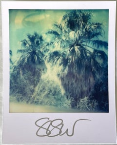 Stefanie Schneider Polaroidgröße unbegrenzt Mini „Blue Sky Palm Trees“ - signiert