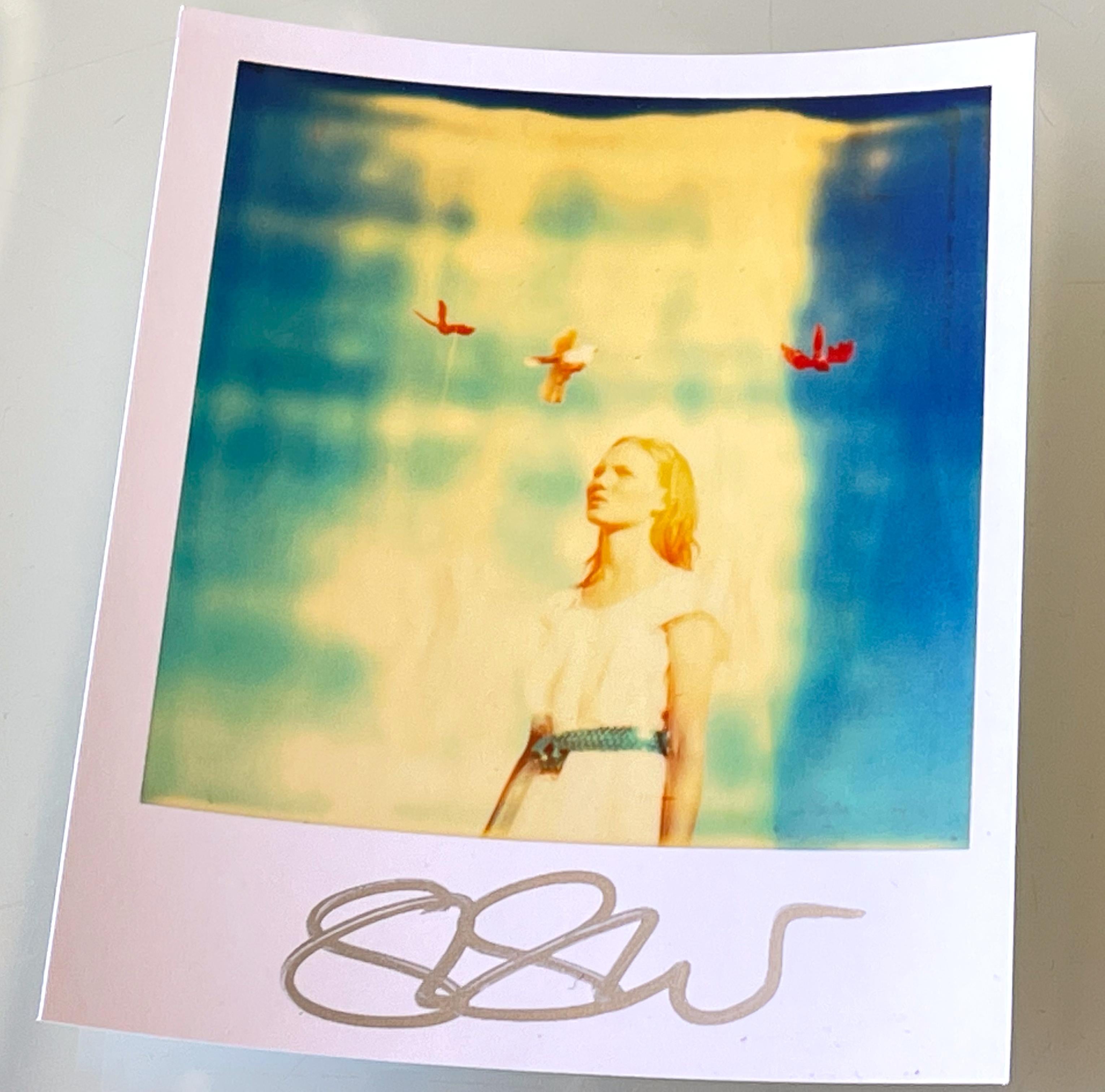 Stefanie Schneider Polaroid sized unlimited Mini 'Calliope' - signed For Sale 4