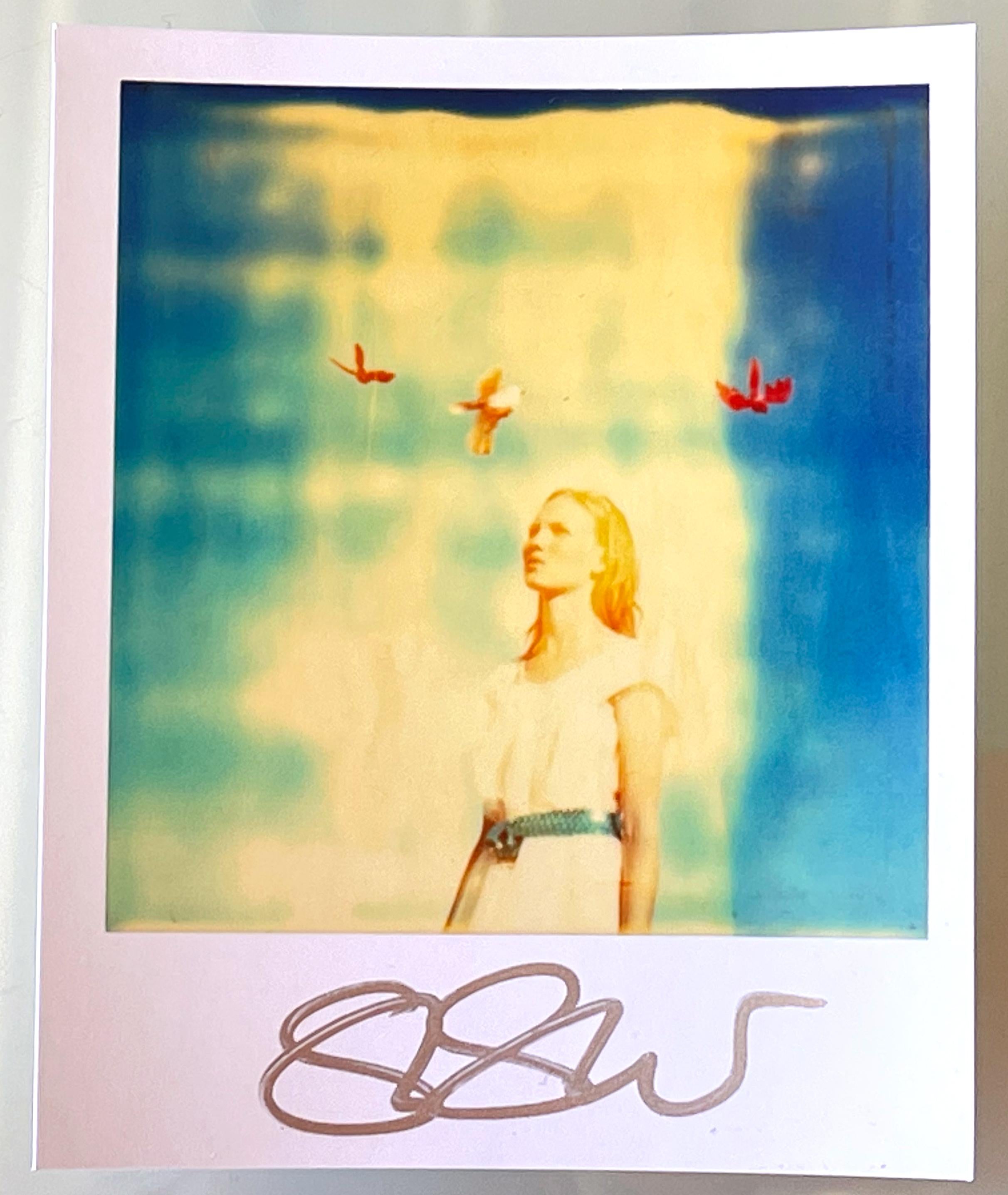 Stefanie Schneider Unbegrenzt Mini in Polaroidgröße - Calliope (Haley and the Birds) - 2013 - 

1 Archiv-C-Print nach dem Original-Polaroid. 
Vorne signiert, nicht montiert.

Offene Editionen in Polaroidgröße 1999-2022
10,7 x 8,8 cm (Bild 7,9 x 7,7