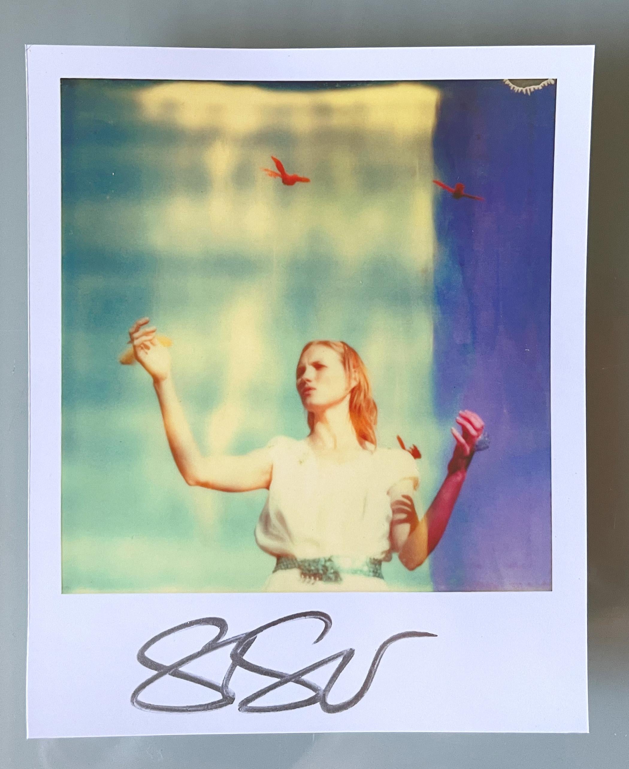 Stefanie Schneider Unbegrenzte Miniatur im Polaroidformat "Haley und die Vögel" - 2013 - 

vorne signiert, nicht montiert. 
1 Digitale Farbfotografien auf der Grundlage eines Polaroids. 

Offene Editionen in Polaroidgröße 1999-2016
10.jeweils 7 x
