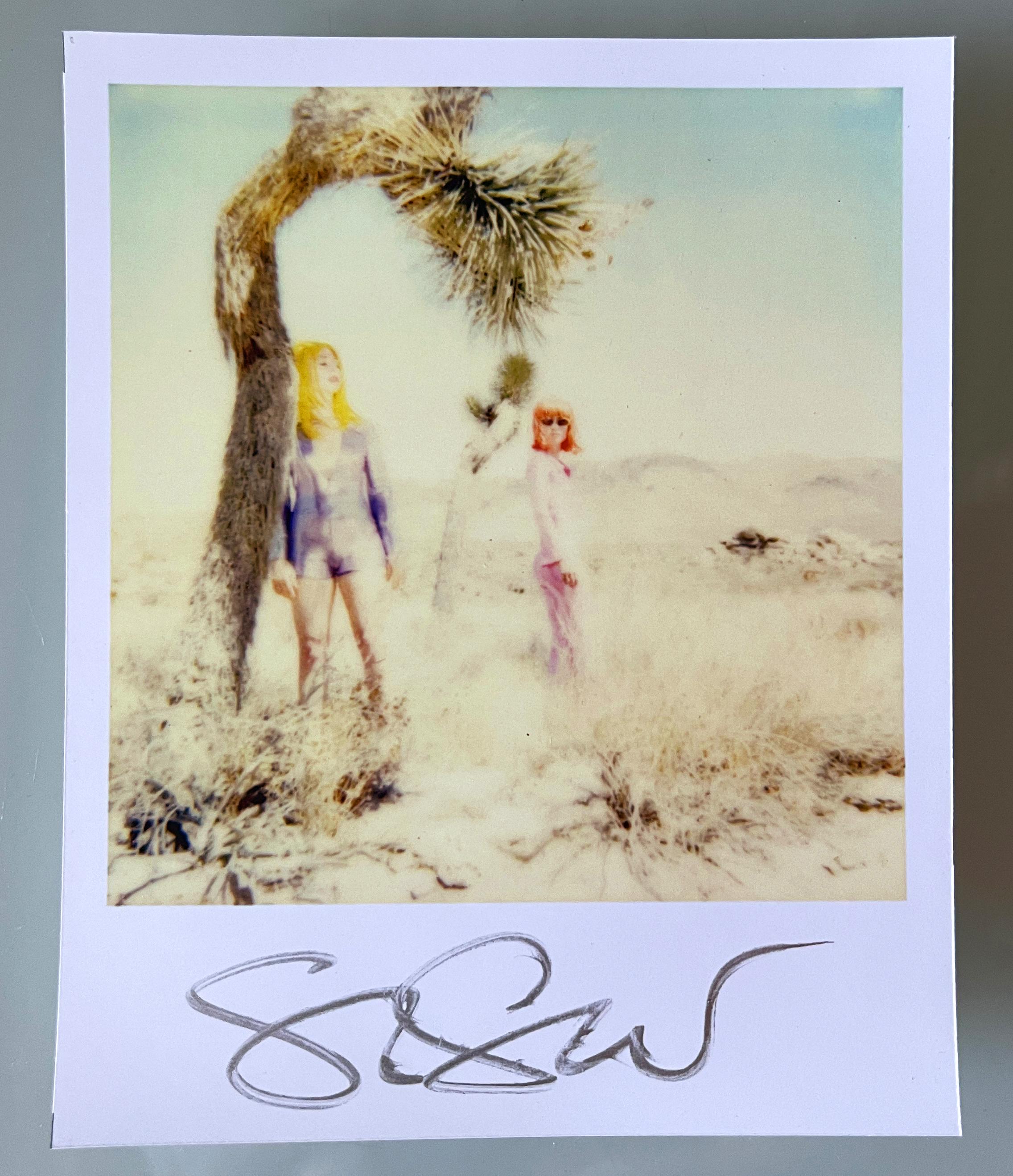Stefanie Schneider Polaroid illimitata Mini 'Long Way Home' - firmata