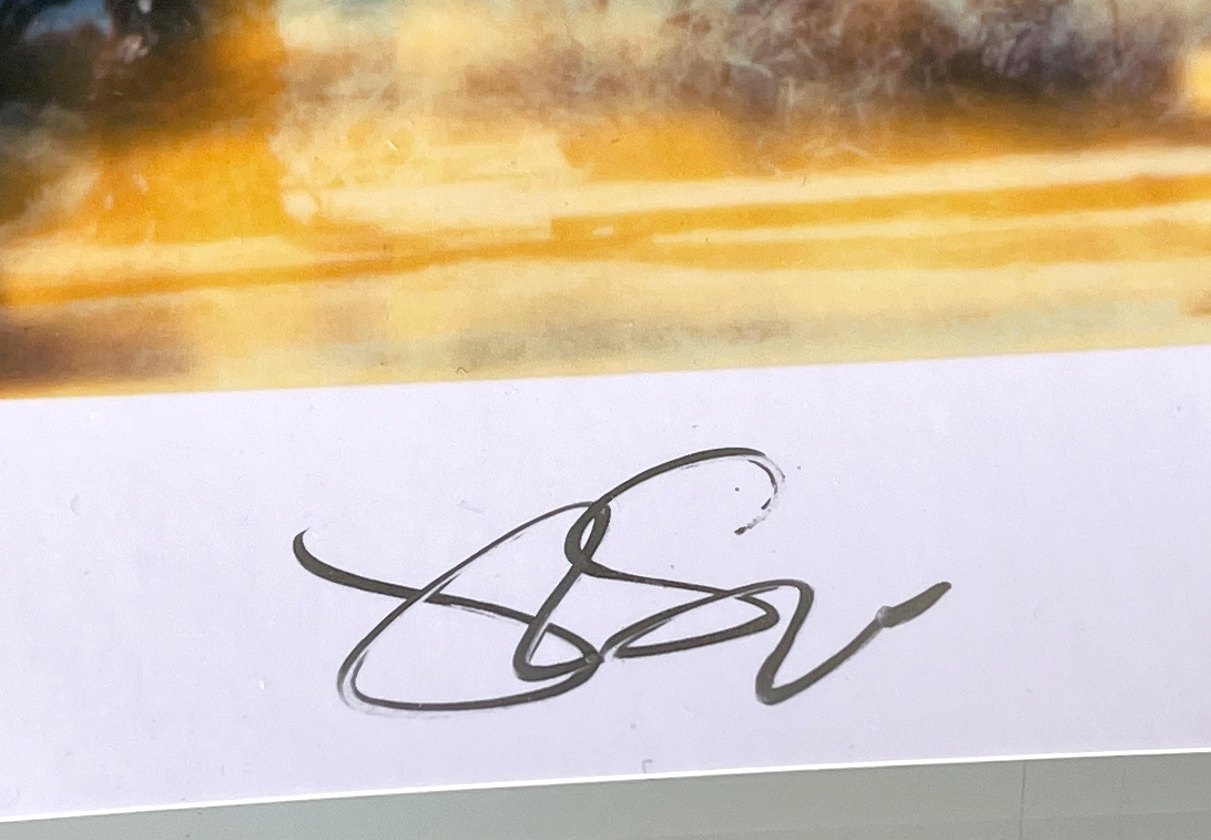 Stefanie Schneider Polaroid « Oasis » (Sidewinder) - signé en vente 1
