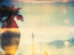 Stefanie Schneider Polaroid illimitata Mini 'Oasis' (Sidewinder) - firmata