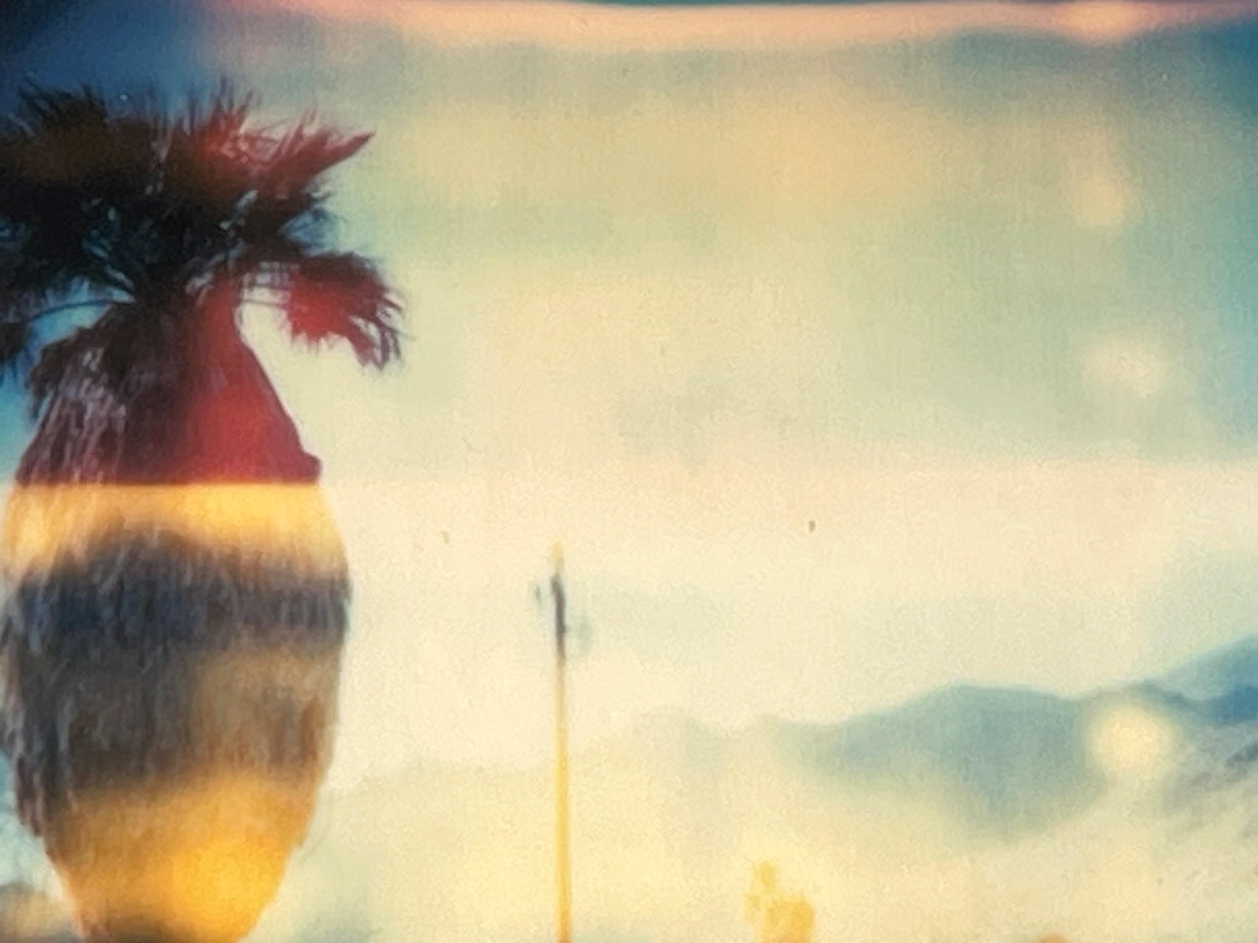 Stefanie Schneider Polaroid « Oasis » (Sidewinder) - signé en vente 2