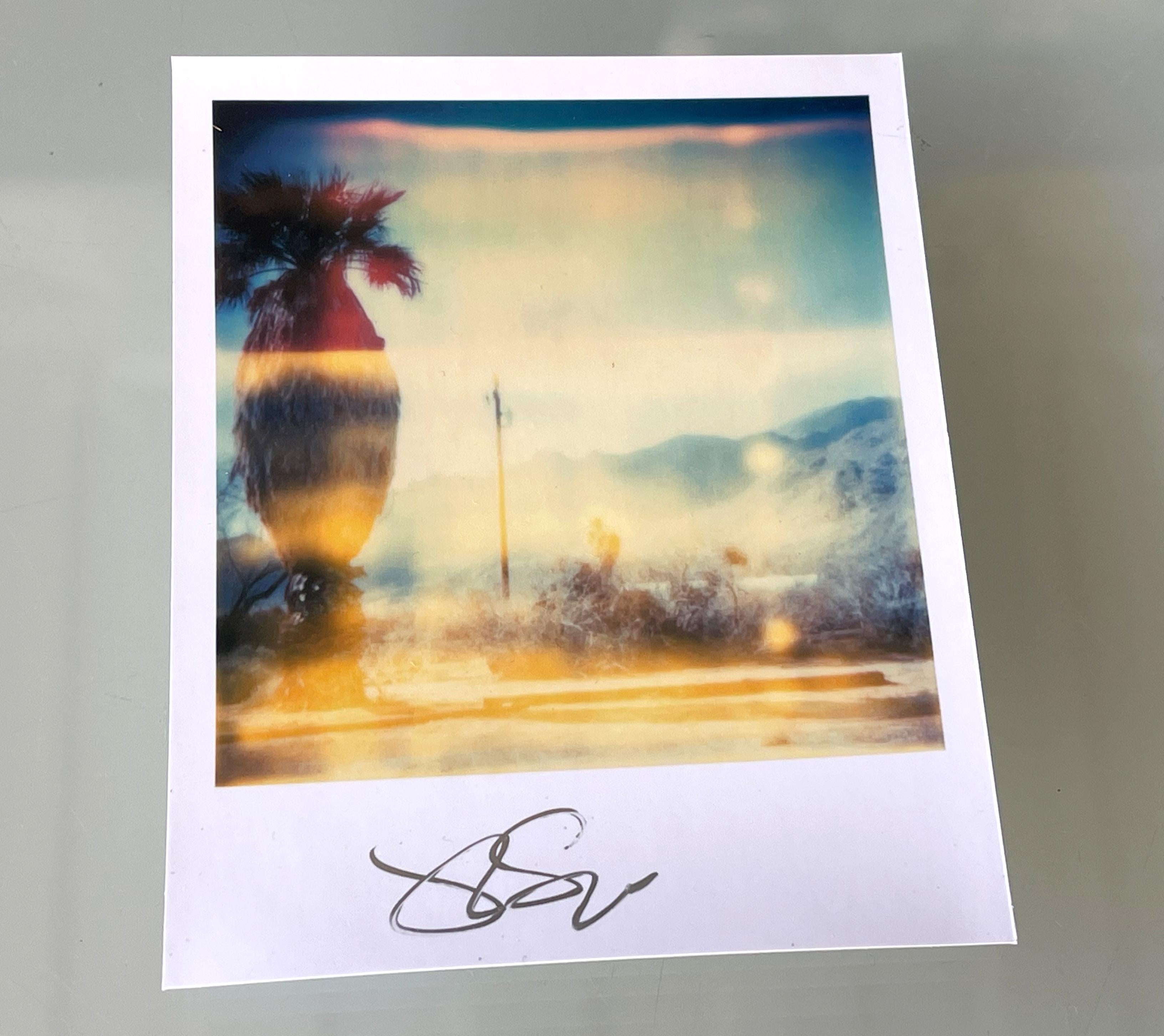 Stefanie Schneider Polaroidgröße unbegrenzt Mini 'Oasis' (Sidewinder) - signiert im Angebot 4