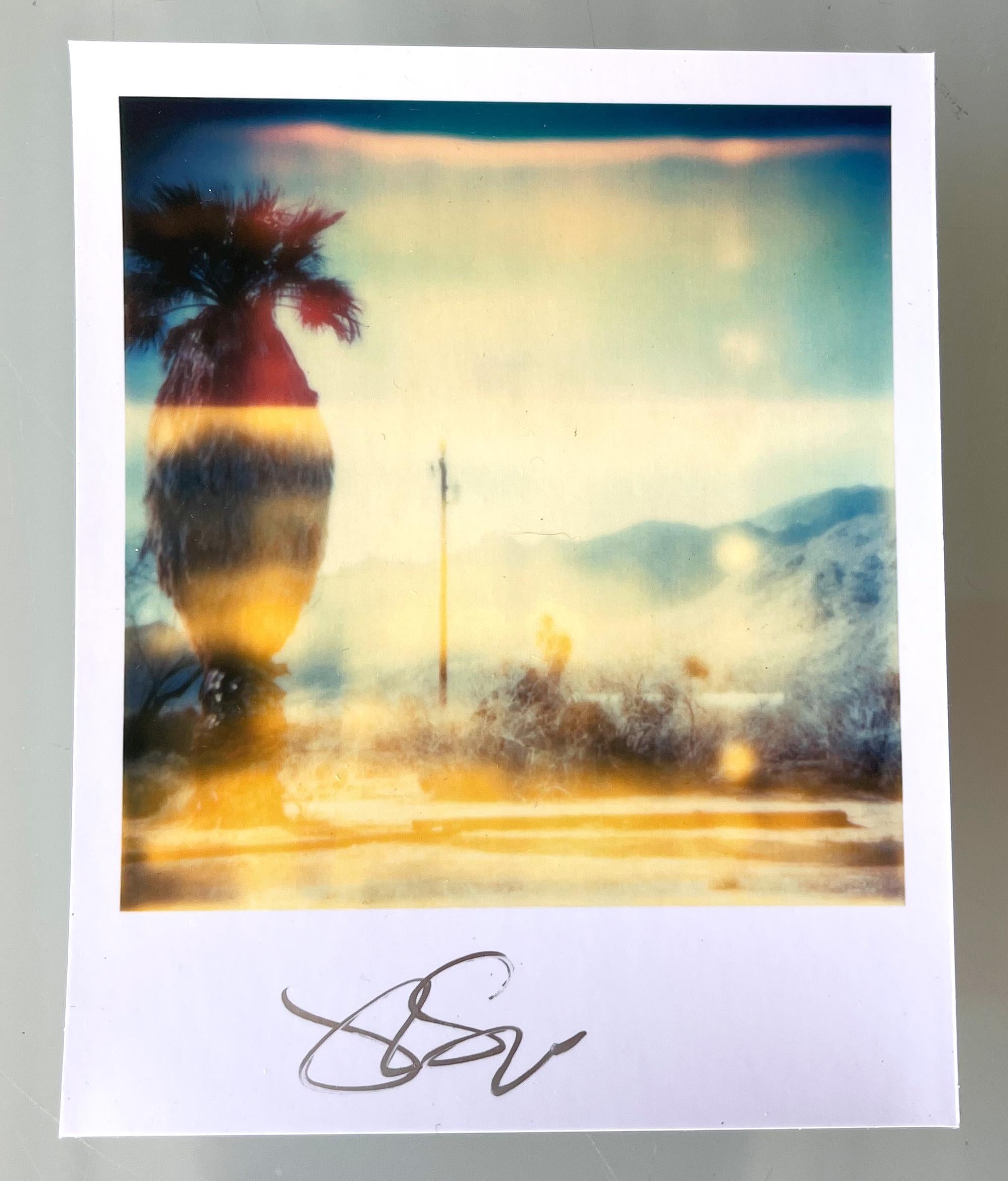 Stefanie Schneider Polaroid-sized unlimited Mini 'Oasis' (Sidewinder) - 2005 - 

signed in front, not mounted. 
1 Archival Color Photograph based on the Polaroid. 

Polaroid sized open Editions 1999-2022
10.7 x 8.8cm (Image 7.9x7.7cm). 

Stefanie