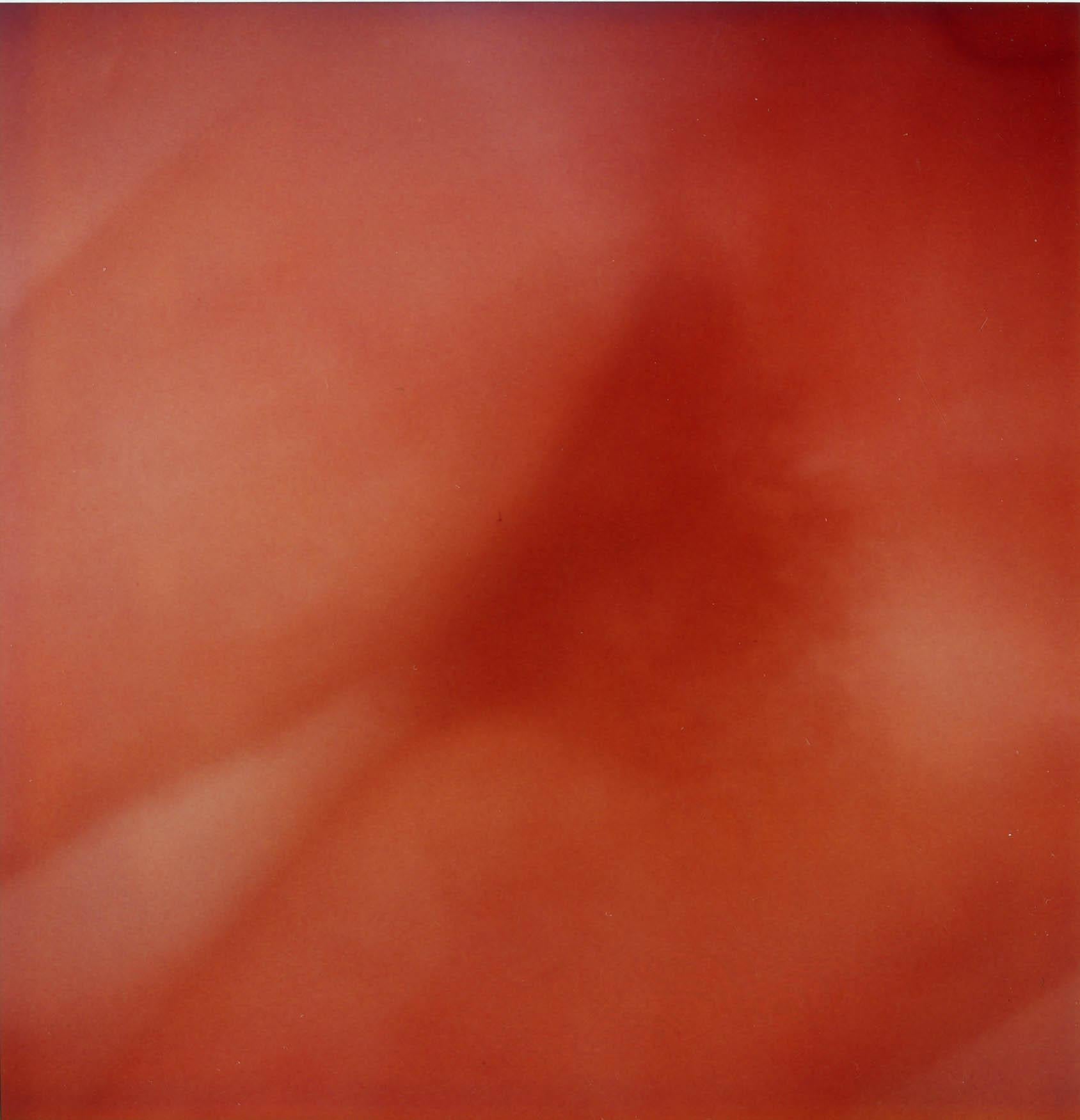 Strange Love, trittico - analogico, montato, Nudo, Contemporaneo, Polaroid - Color Photograph Beige di Stefanie Schneider