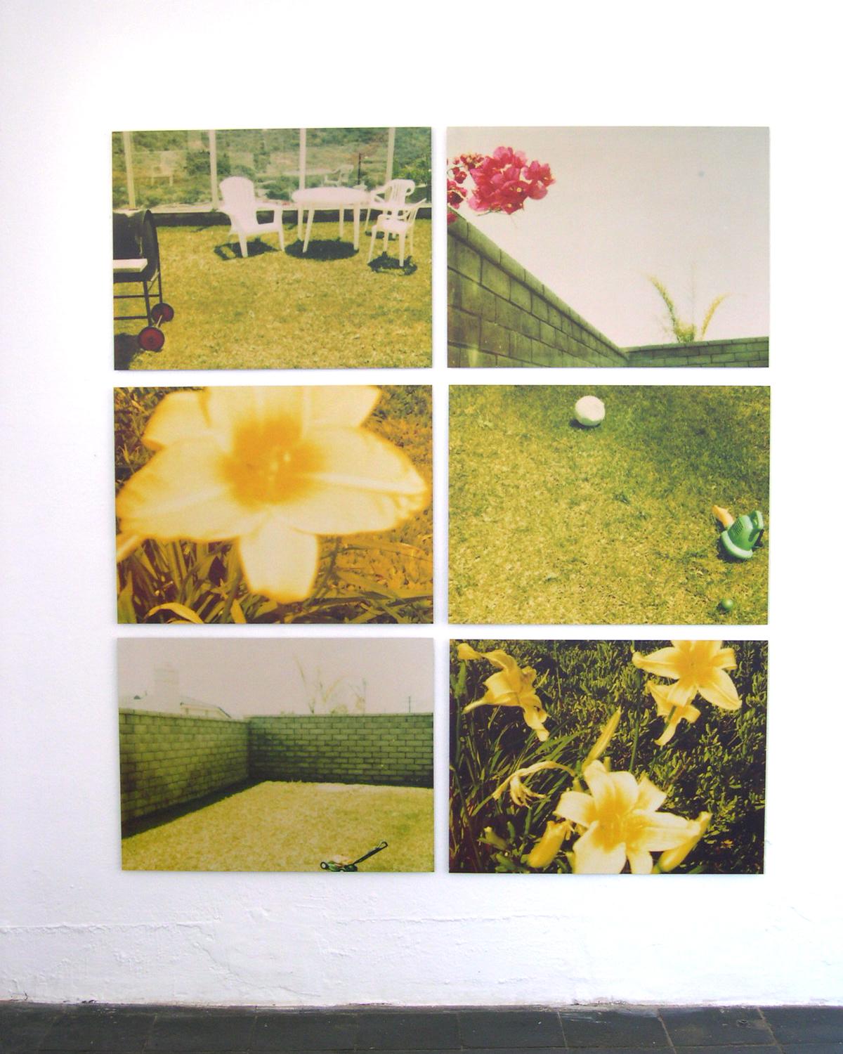 Suburbia - analog, mounted, 6 pieces - Polaroid, Contemporary For Sale 7