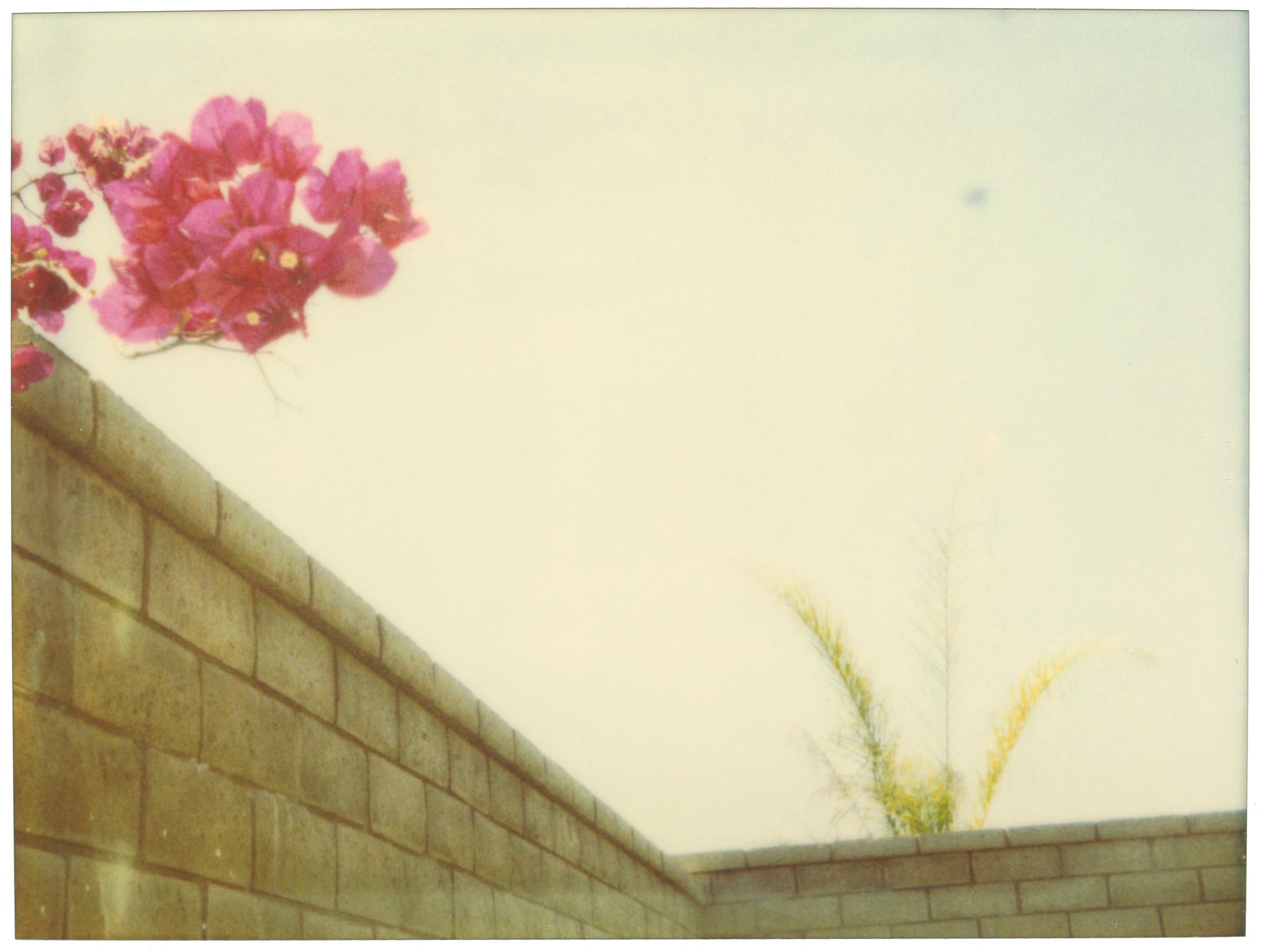 Suburbia, analog, mounted. Polaroid, photograph, 21st Century, landscape,  - Contemporary Photograph by Stefanie Schneider