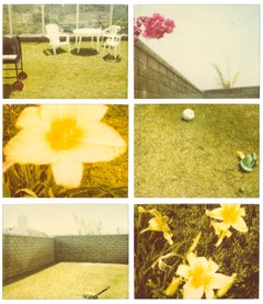 Suburbia, analog, mounted. Polaroid, photograph, 21st Century, landscape,