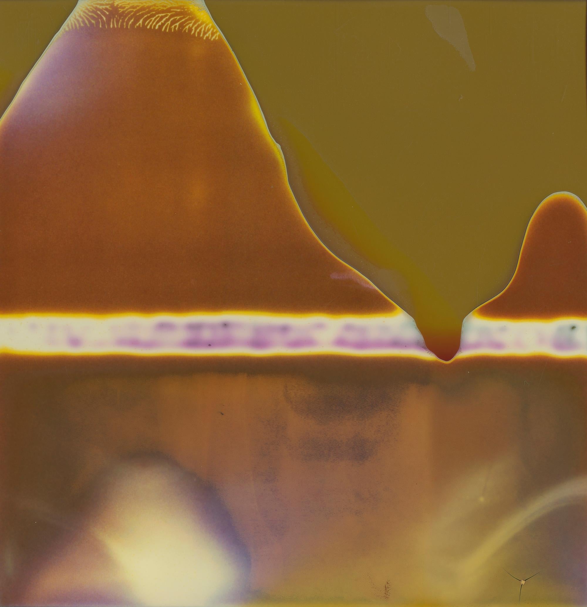 Stefanie Schneider Landscape Photograph – Summer Interlude I (Deconstructivism) - Contemporary, Abgelaufenes Polaroid