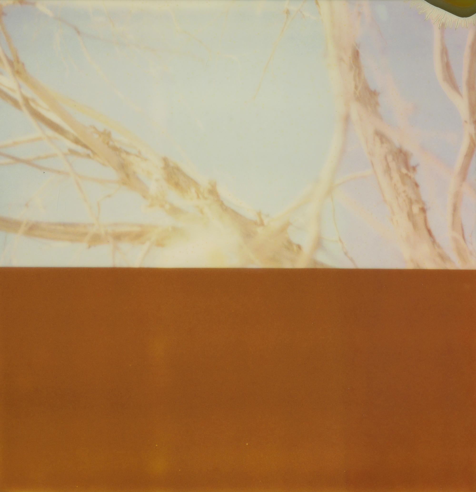 Landscape Photograph Stefanie Schneider - Summer Interlude II (Deconstructivism) - Contemporain, Polaroid périmé