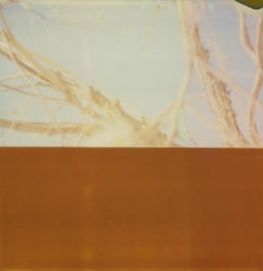 Summer Interlude II (Deconstructivism) - Contemporary, Expired Polaroid