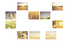 Sunflower (Musica Poetica) - analog