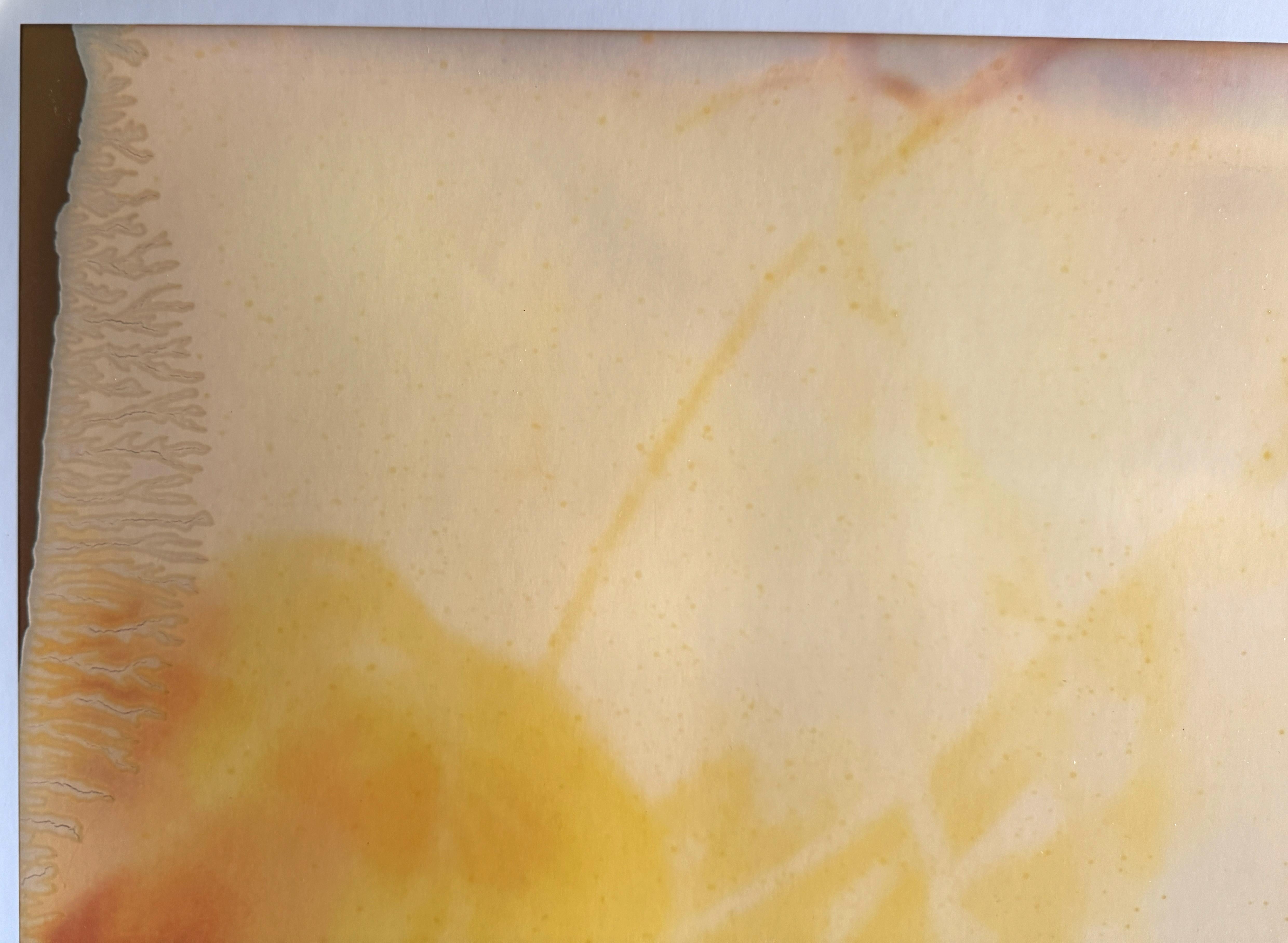 Sonnenuntergang (Dekonstruktivismus) - 2015 

80x80cm, 
Auflage: 10 Exemplare, plus 2 Artist Proofs. 
Archivierter C-Print, basierend auf dem Original-Polaroid. 
Unterschriftenlabel und Zertifikat. 
Künstler-Inventar Nr. 5900. 
Nicht montiert.