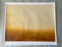 Used Sunset (Stranger than Paradise) - Analog, hand-print, Polaroid