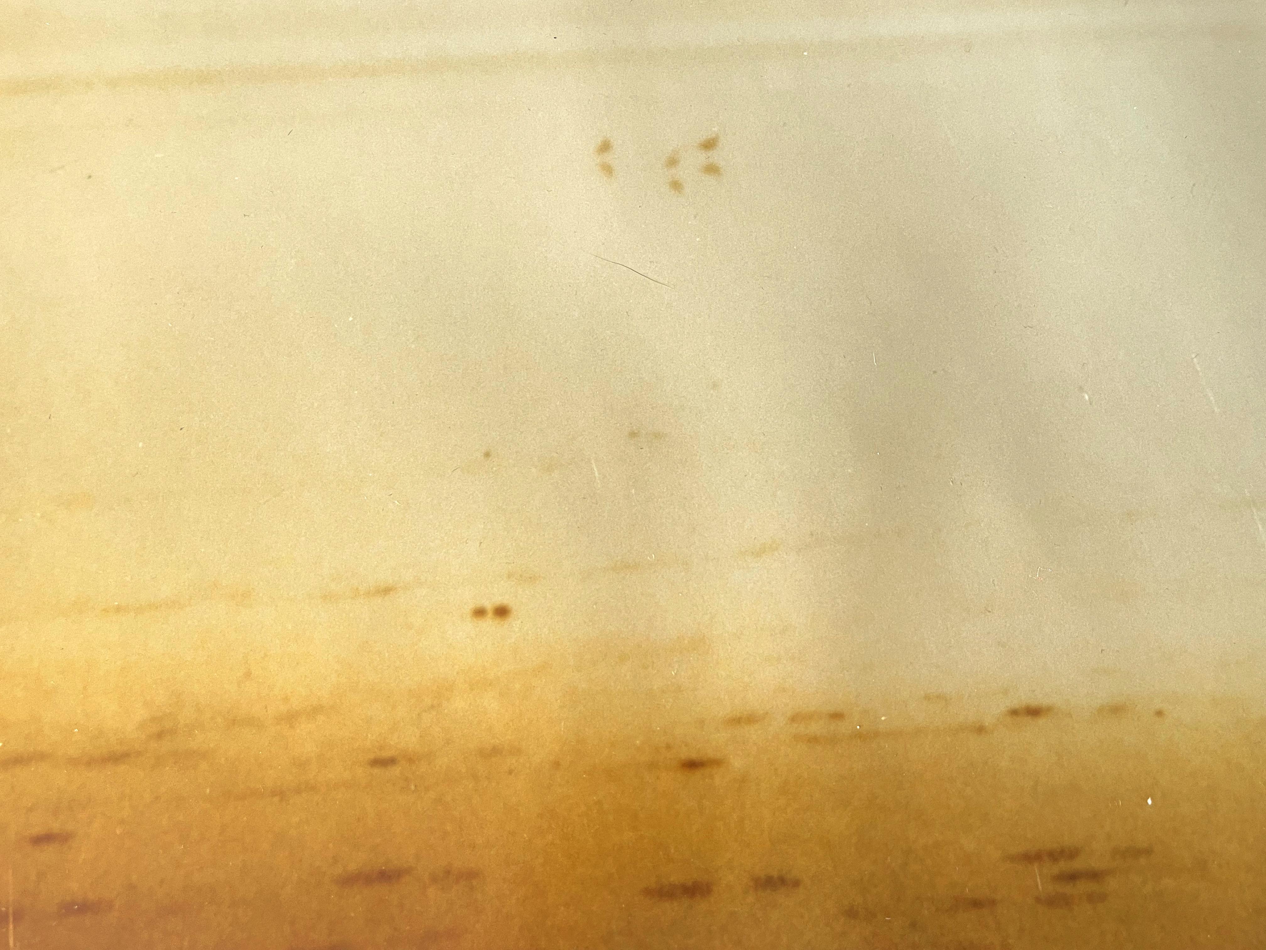 Sunset (Stranger than Paradise) - Analog, hand-print, Polaroid - Photograph by Stefanie Schneider