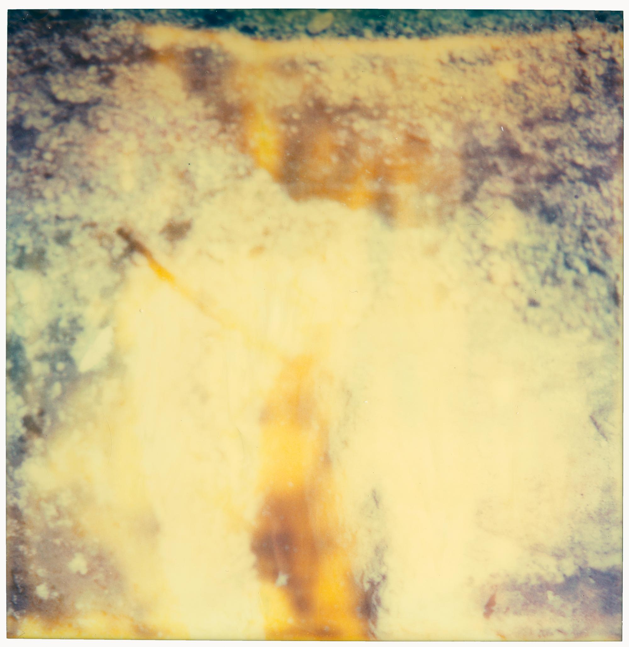 Stefanie Schneider Abstract Photograph – Surface Area – Planet of the Apes 02 – 21. Jahrhundert, Polaroid, Abstrakt