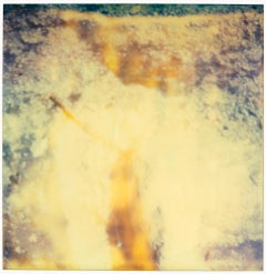 Surface Area – Planet of the Apes 02 – 21. Jahrhundert, Polaroid, Abstrakt