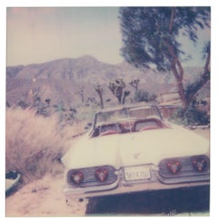 Tao's Place (Stranger than Paradise) - Polaroid, Contemporary, Landscape, Color