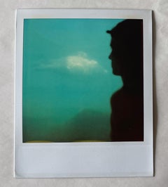 The Aquarium (Stay) - Original Polaroid Unique Piece