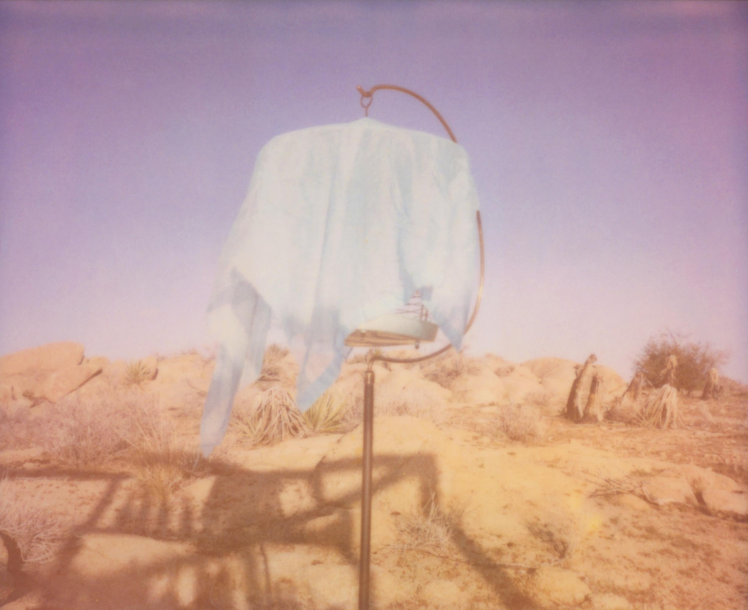 Stefanie Schneider Still-Life Photograph - The Bird Cage (Heather's Dream) - Polaroid, Contemporary, color