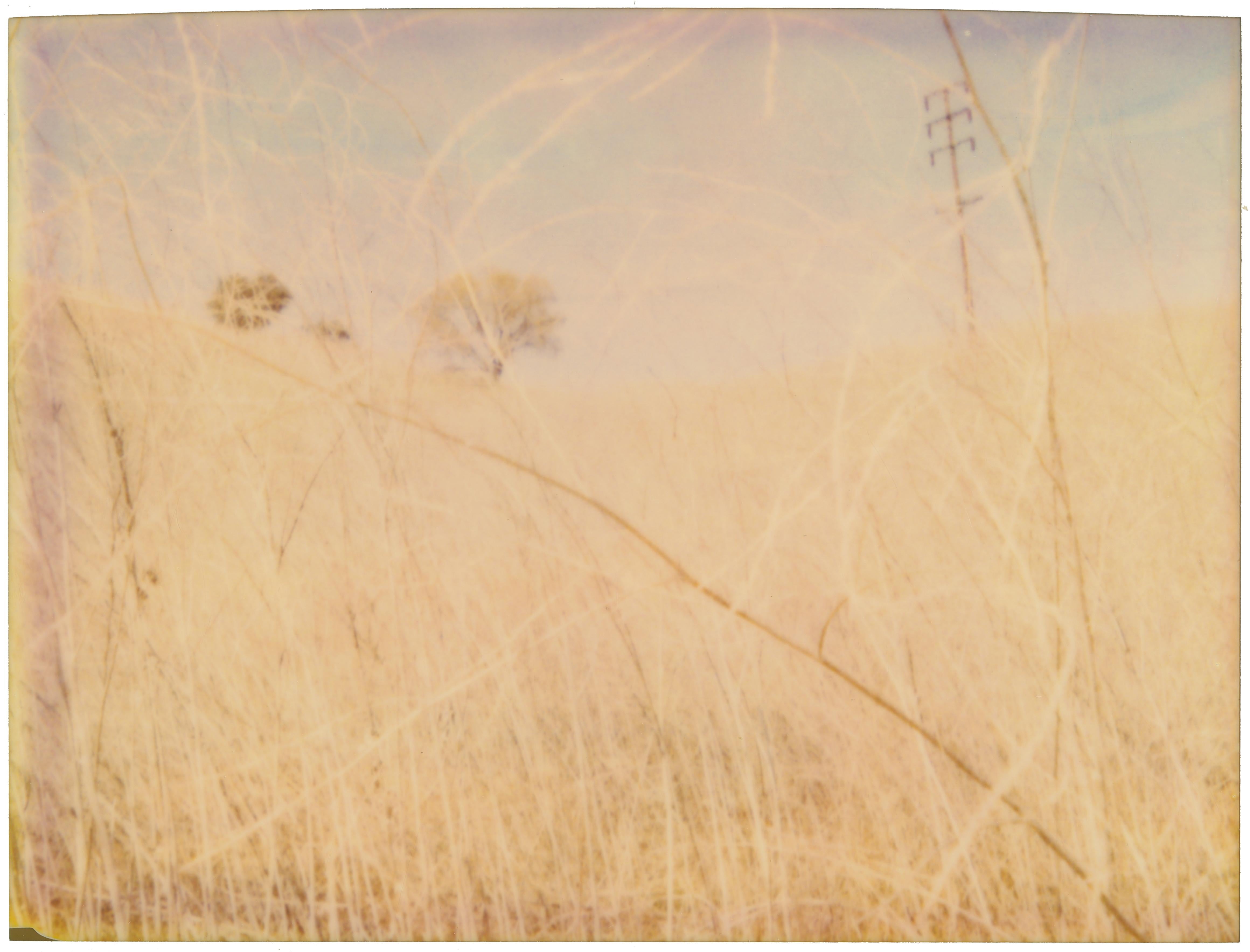 Stefanie Schneider Portrait Photograph - The Field (Musica Poetica) - analog