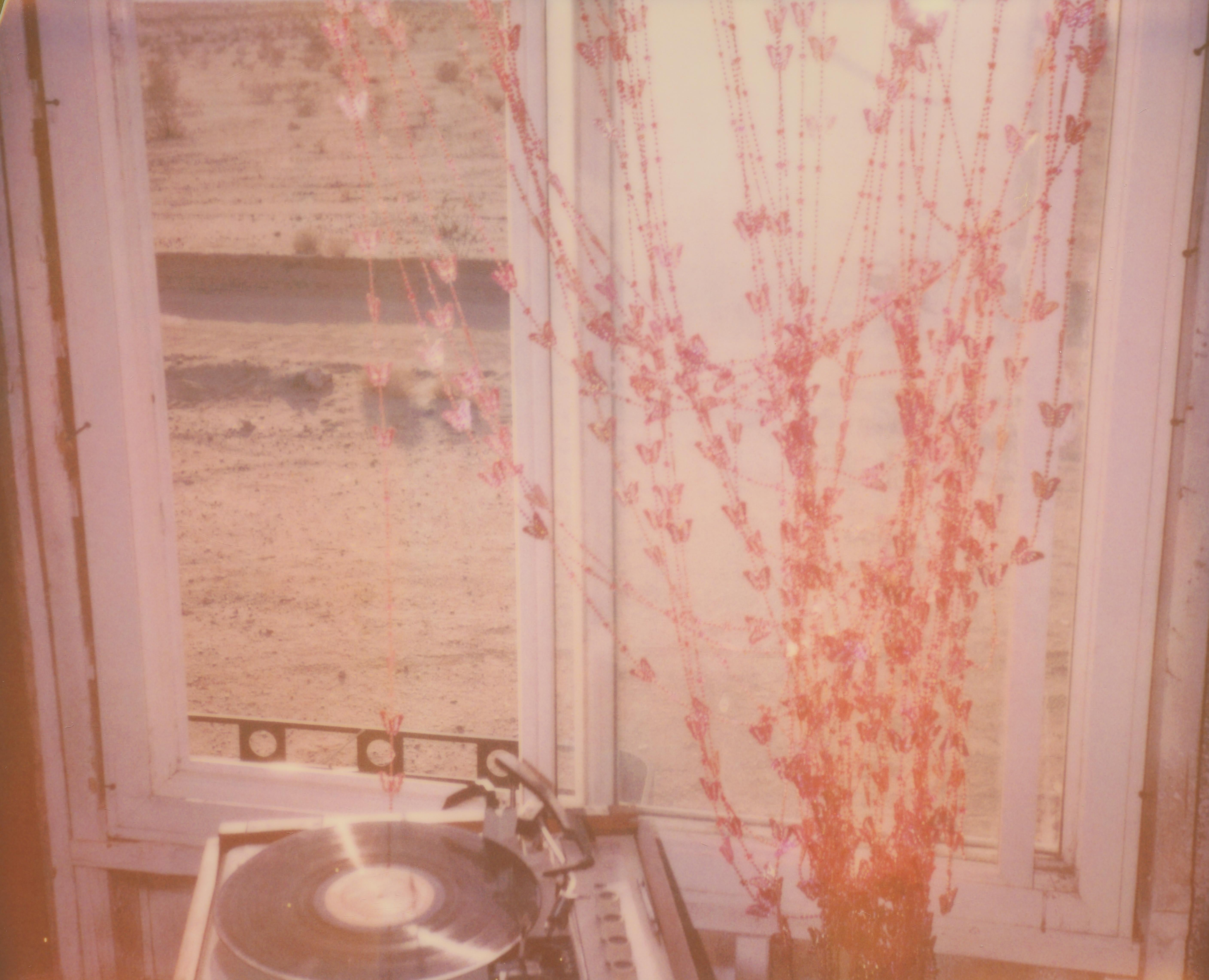 Stefanie Schneider Still-Life Photograph - The Lonely Hearts Show (The Girl behind the White Picket Fence)